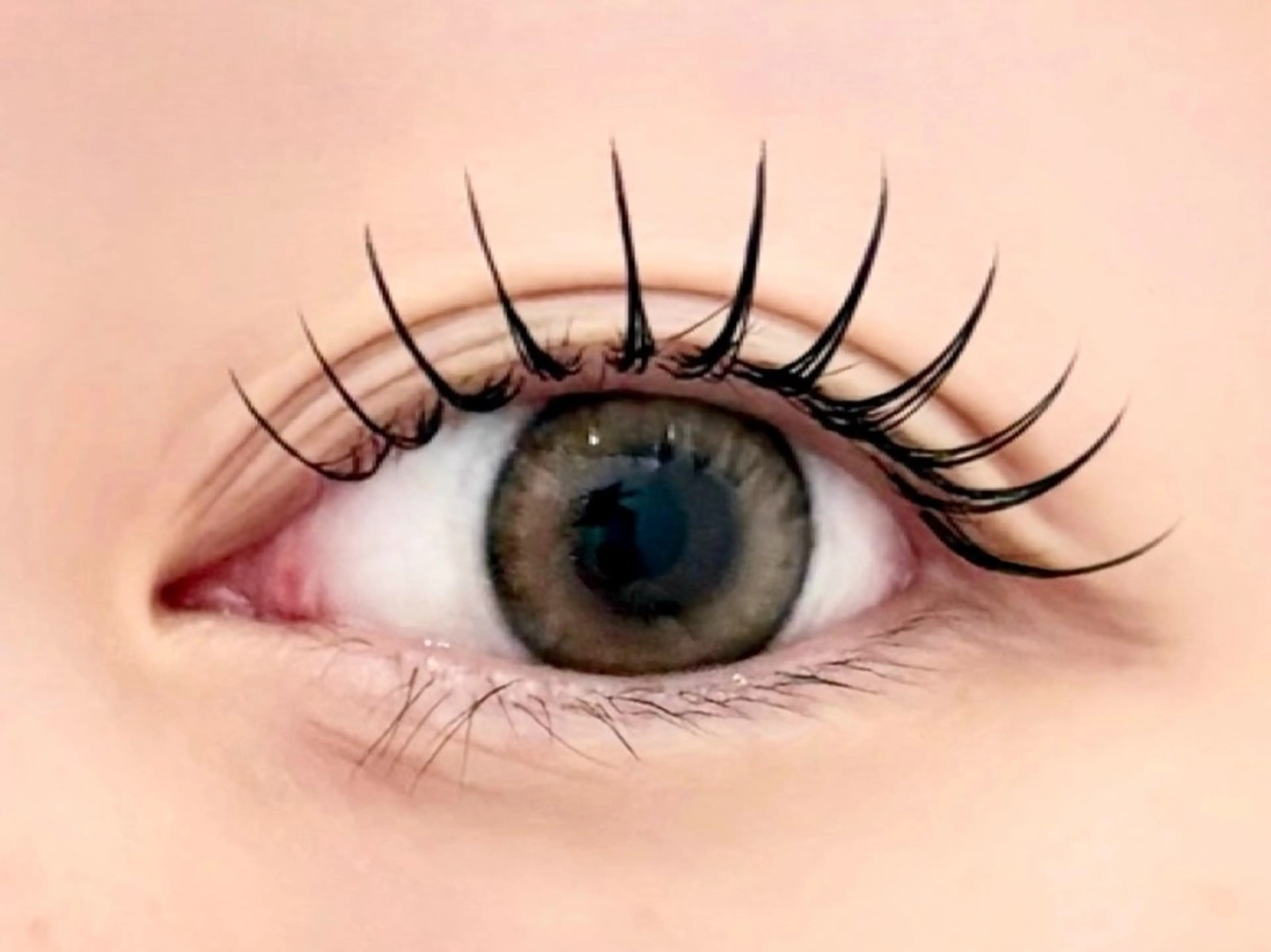 LEDフラットラッシュ100本の写真