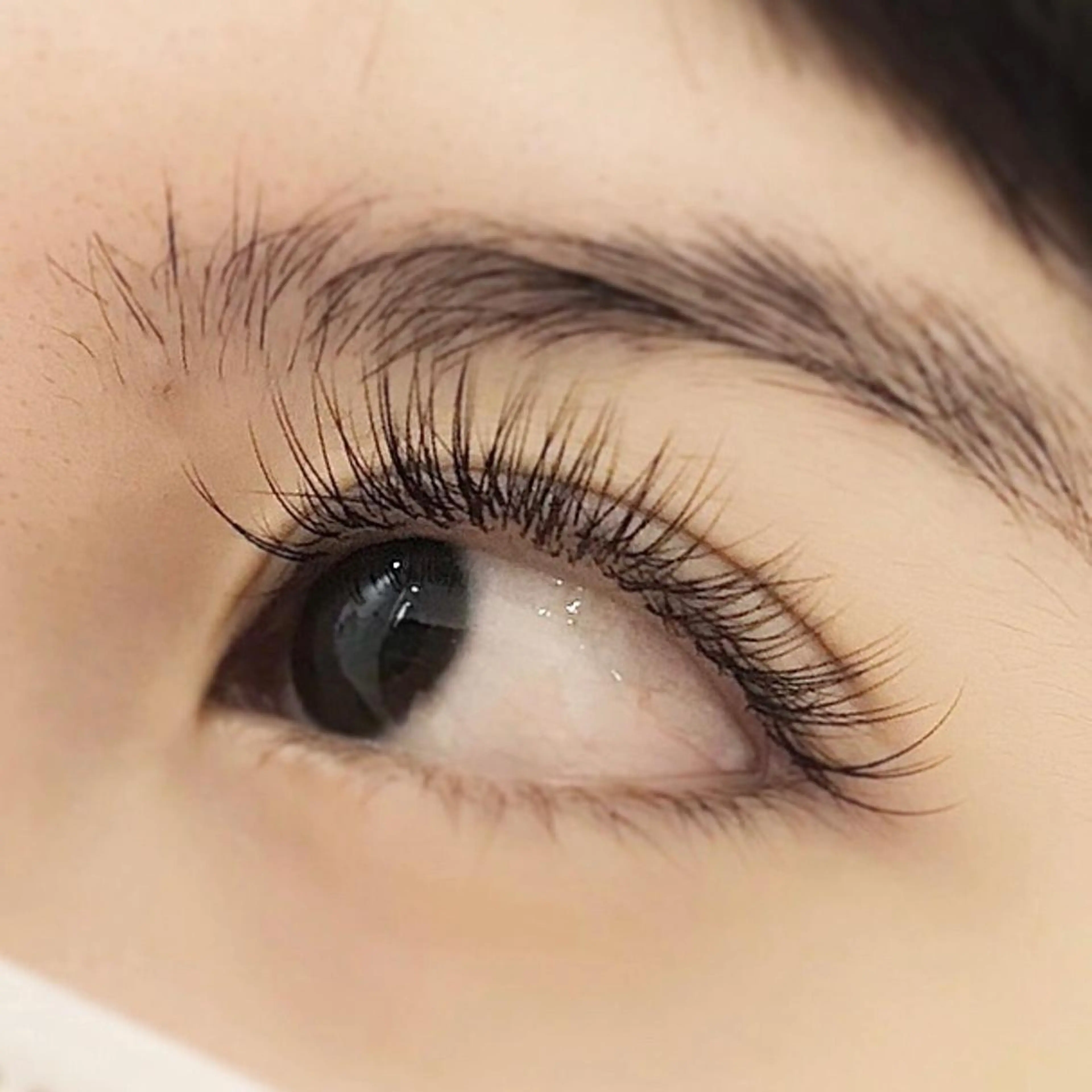 マツエク・マツパ クルミナージュ柏🌼 代表.鈴木のマツエク・マツパデザイン