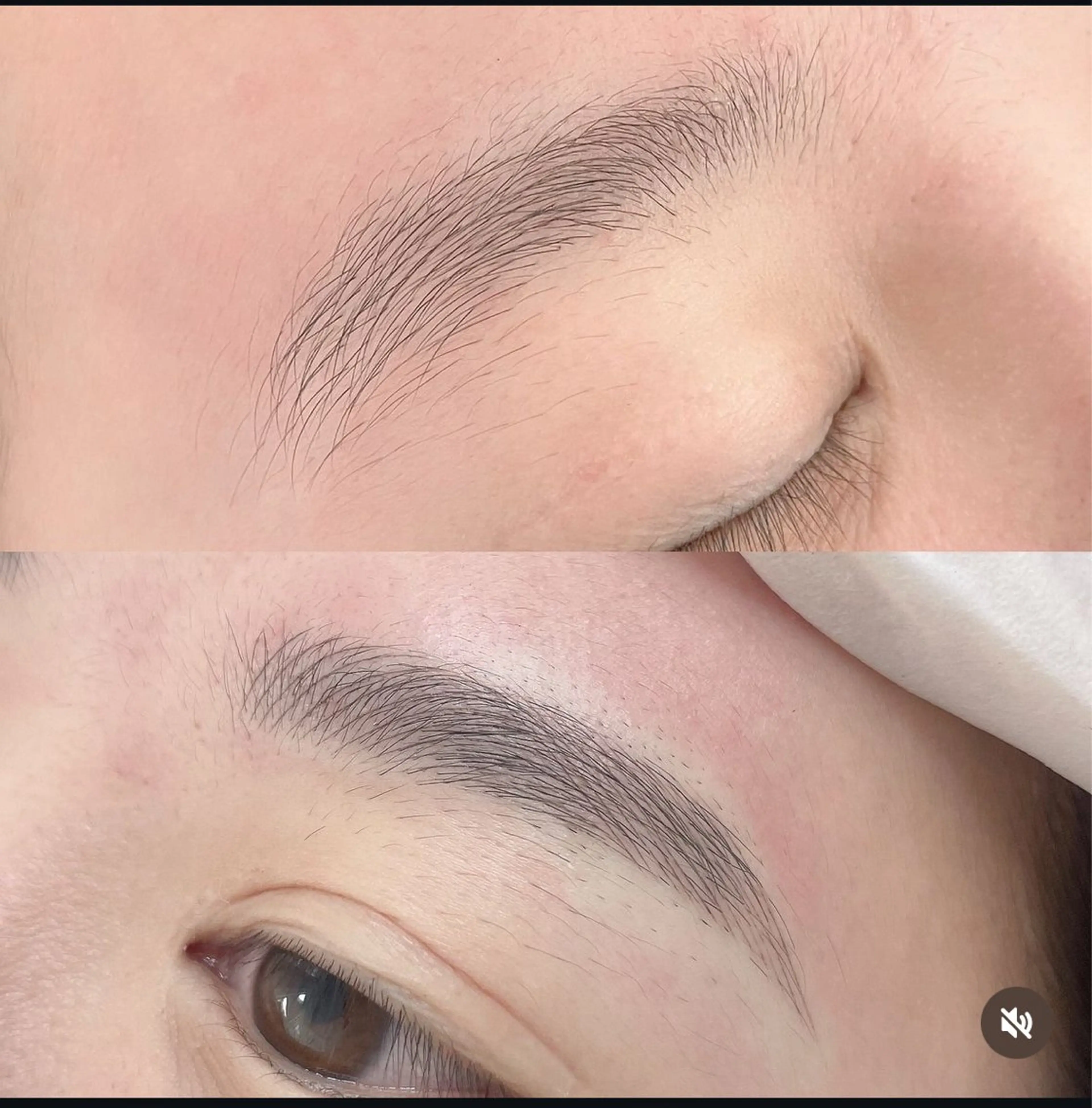 アイブロウ Ridive Haruの眉毛・アイブロウイメージ