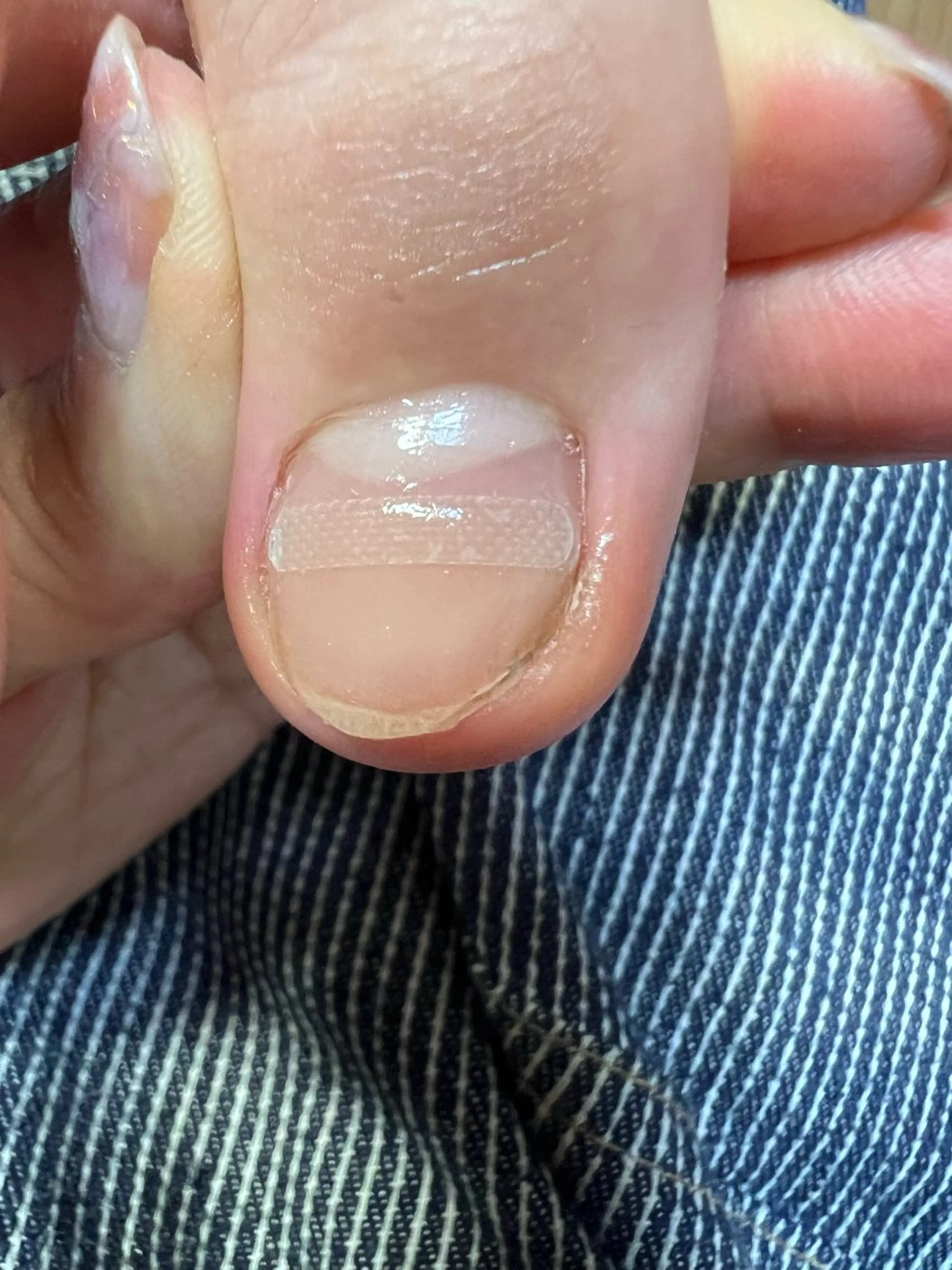 ネイル その他(ネイル) & nudge nail所属・&nudgenail 本多のネイルデザイン