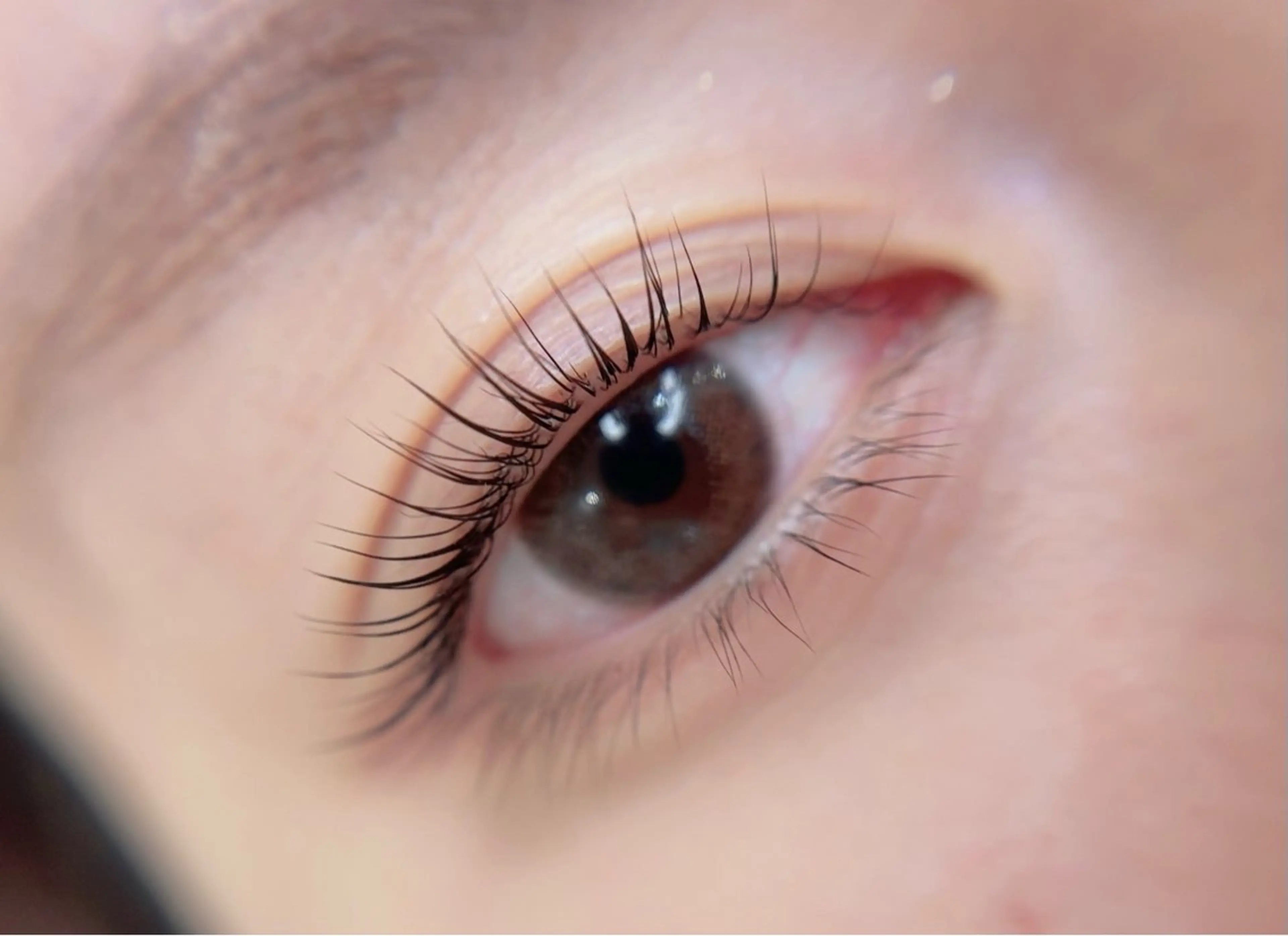 マツエク・マツパ Maile leaf 【マイレリーフ】のマツエク・マツパデザイン