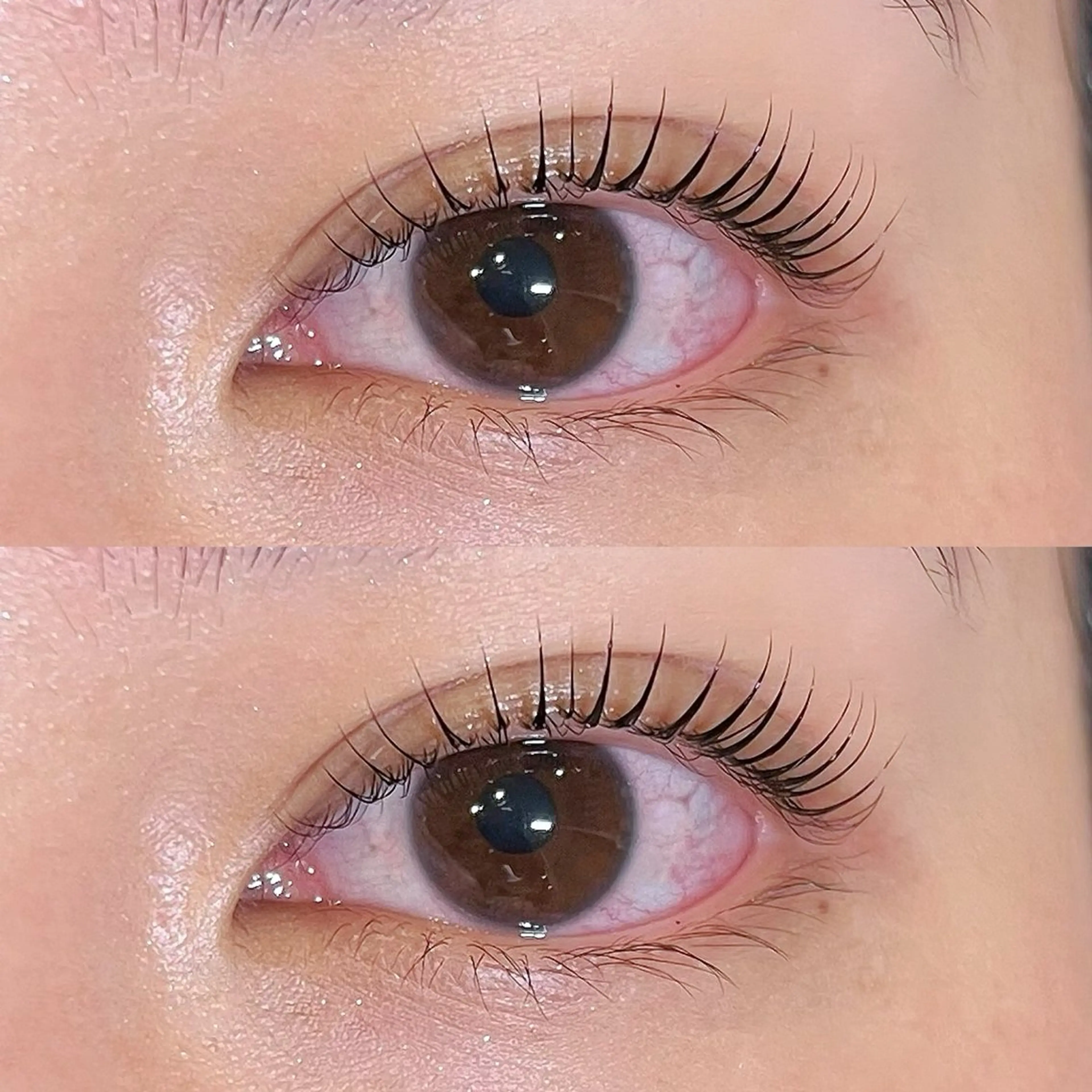 マツエク・マツパ 〰️sofa🪧 Kiguchiのマツエク・マツパデザイン