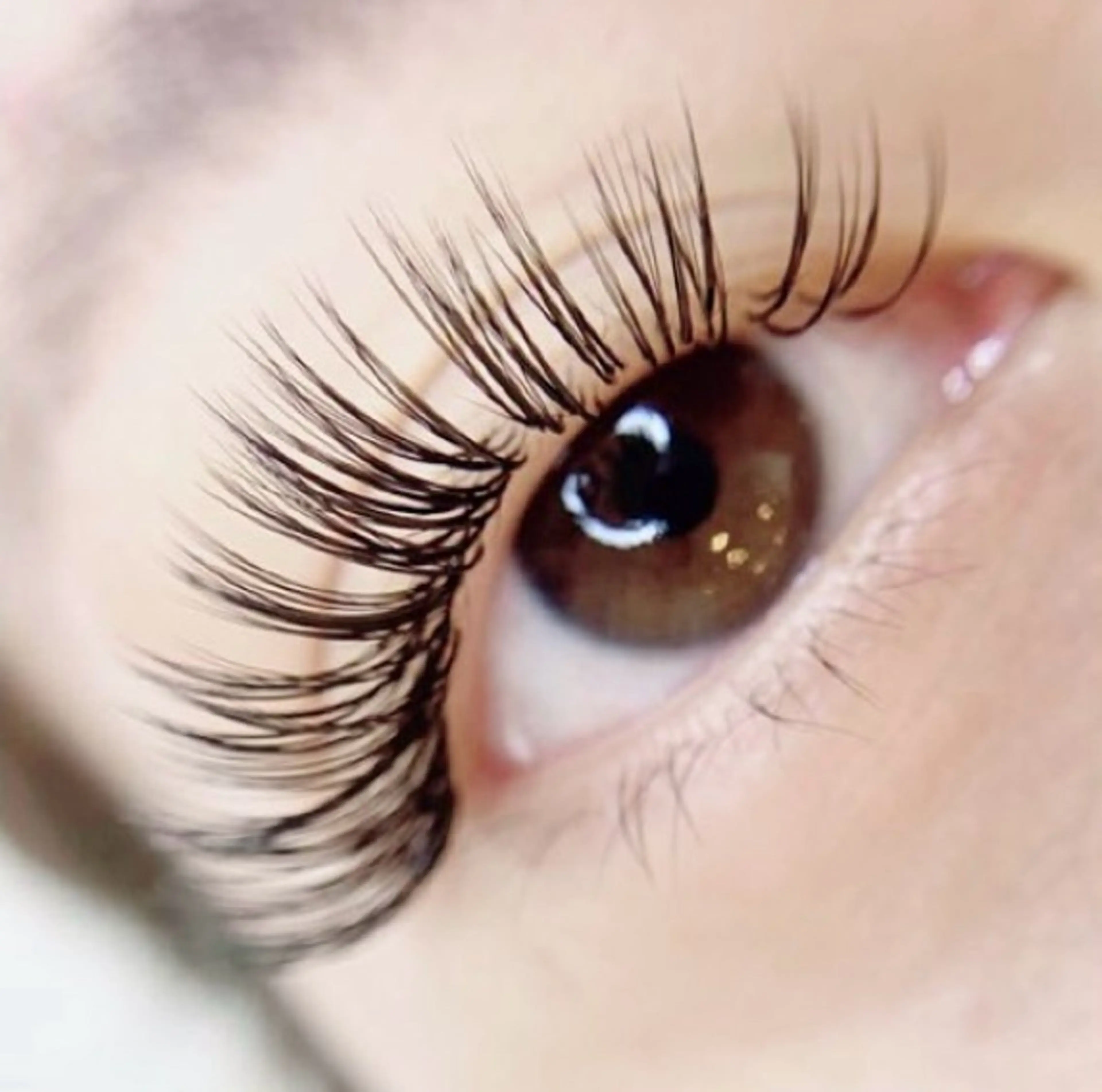 無料モデル⚠️3/17（火）限定⚠️モチ◎濃さ◎バインドロック《70本フル》他店エクステオフ¥1100施術時間1時間程度の写真