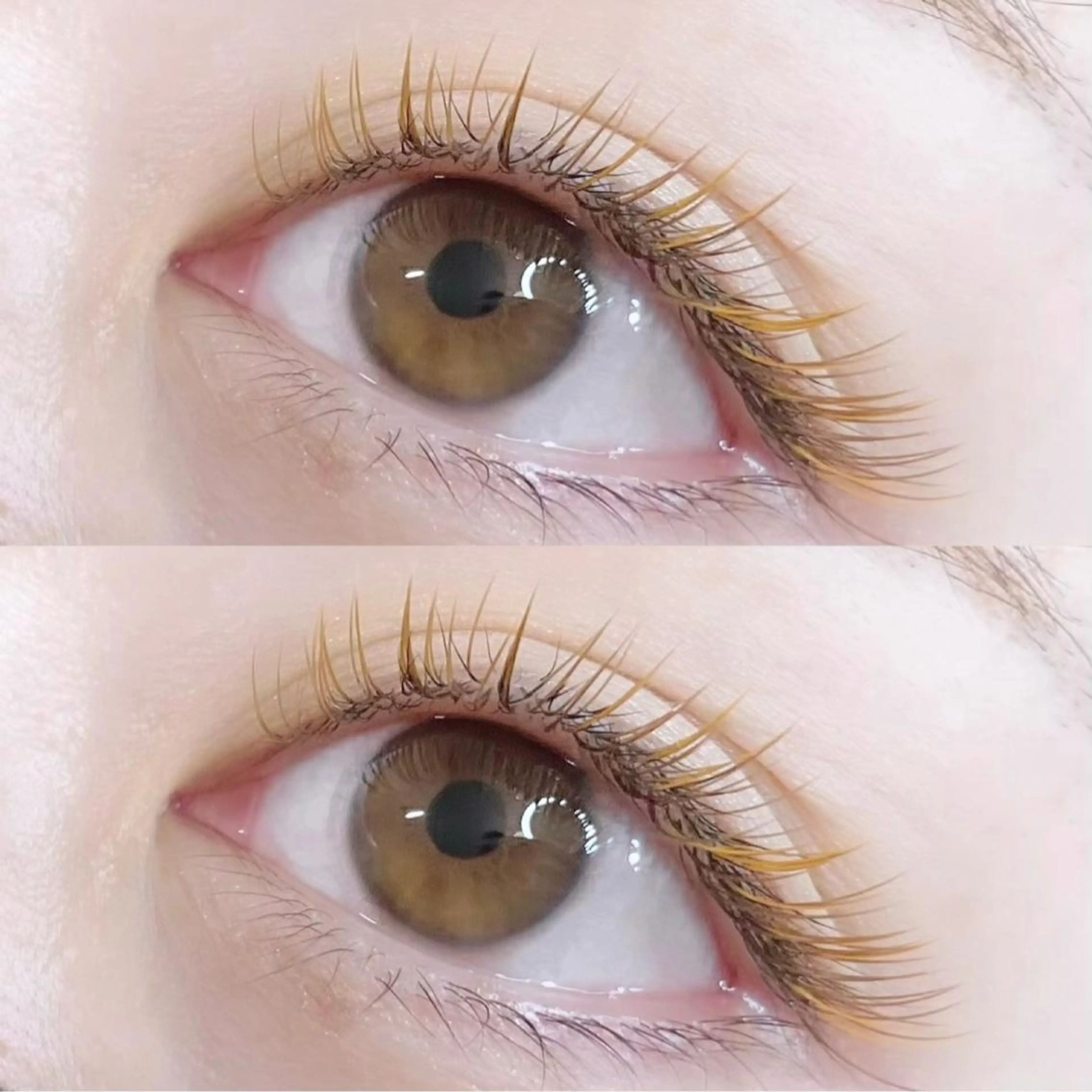 目元に遊び心を💜カラー120本5980円🎉20色から自由に🎨の写真