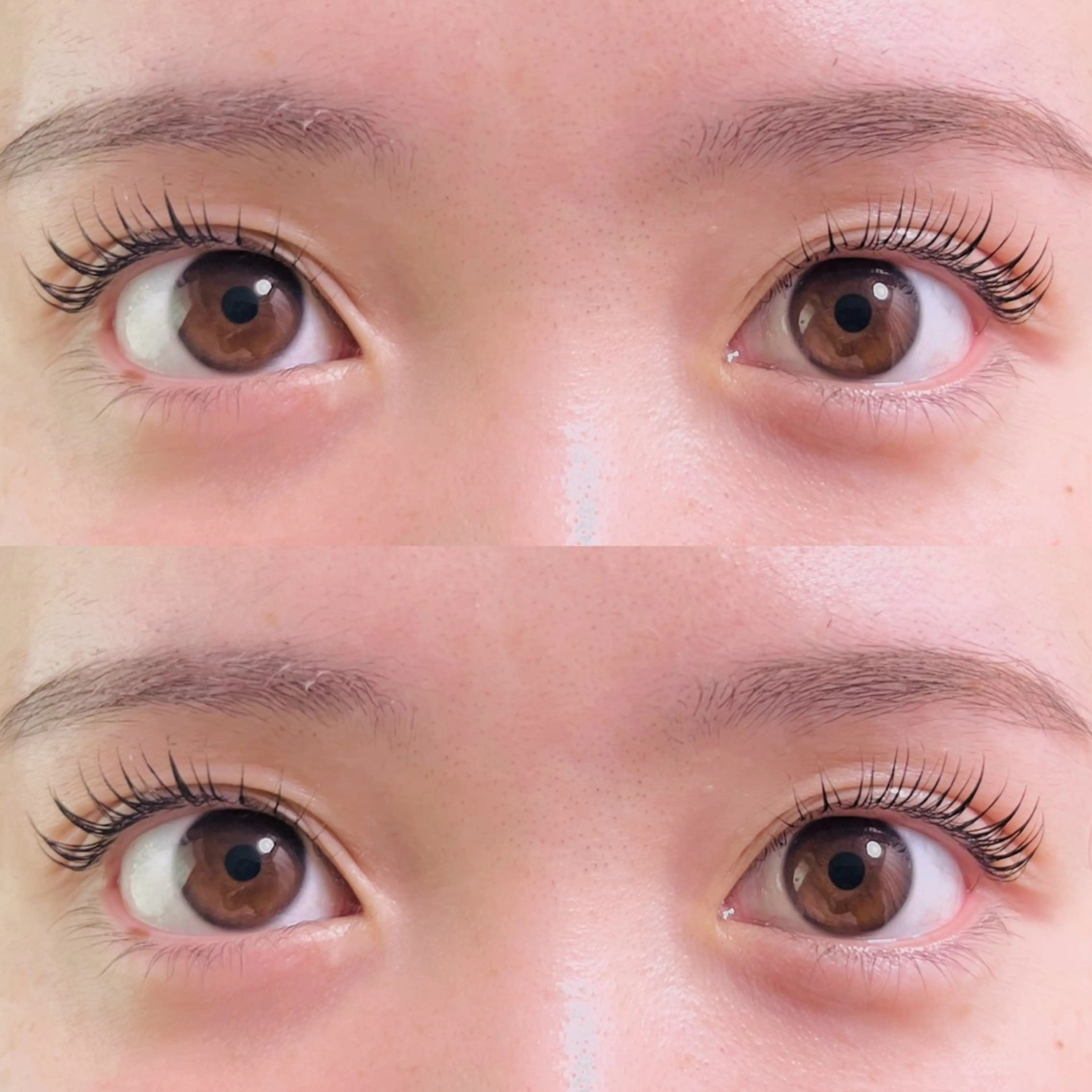 マツエク・マツパ HERA 【ヘラ】のマツエク・マツパデザイン