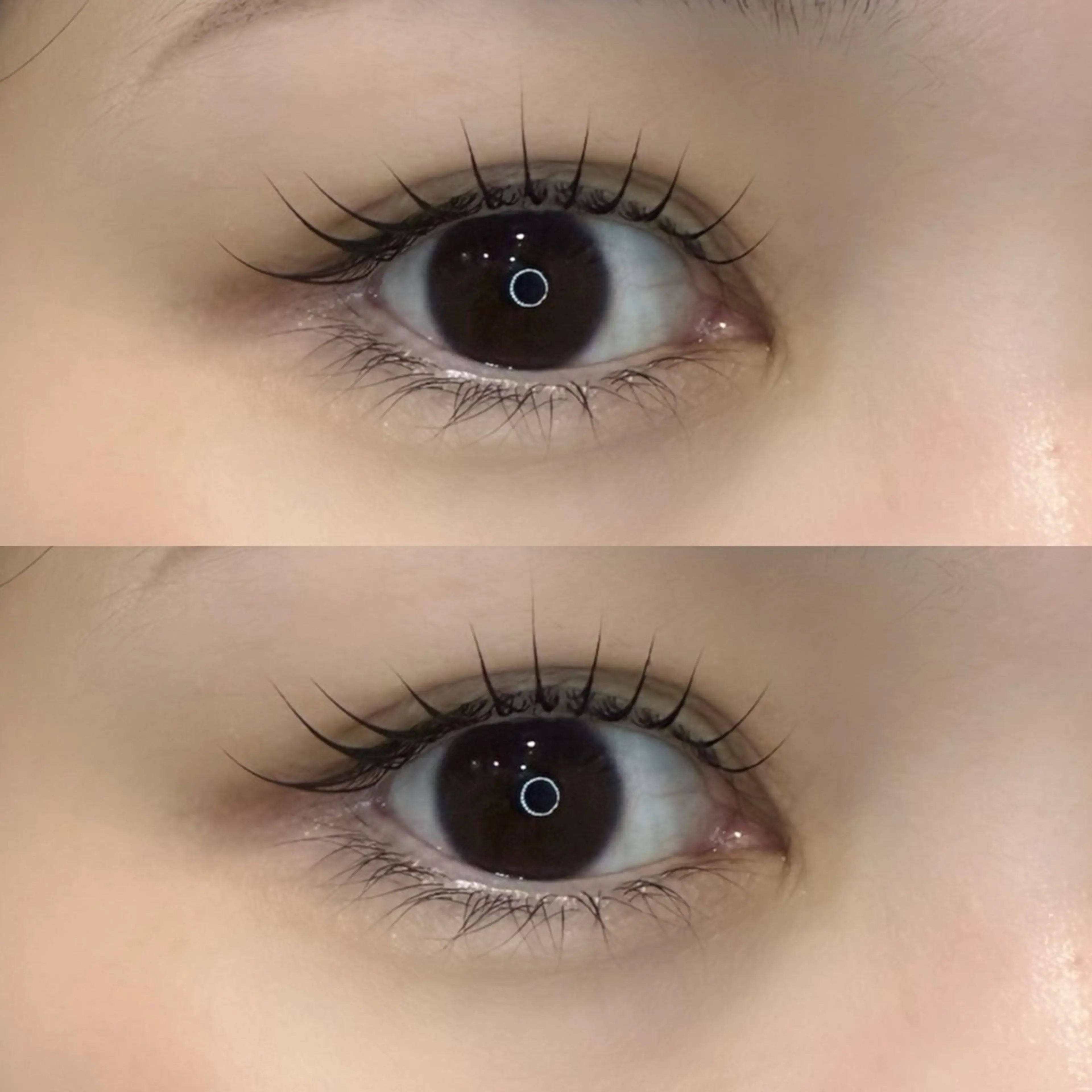 束感🎀形状記憶まつ毛パーマの写真