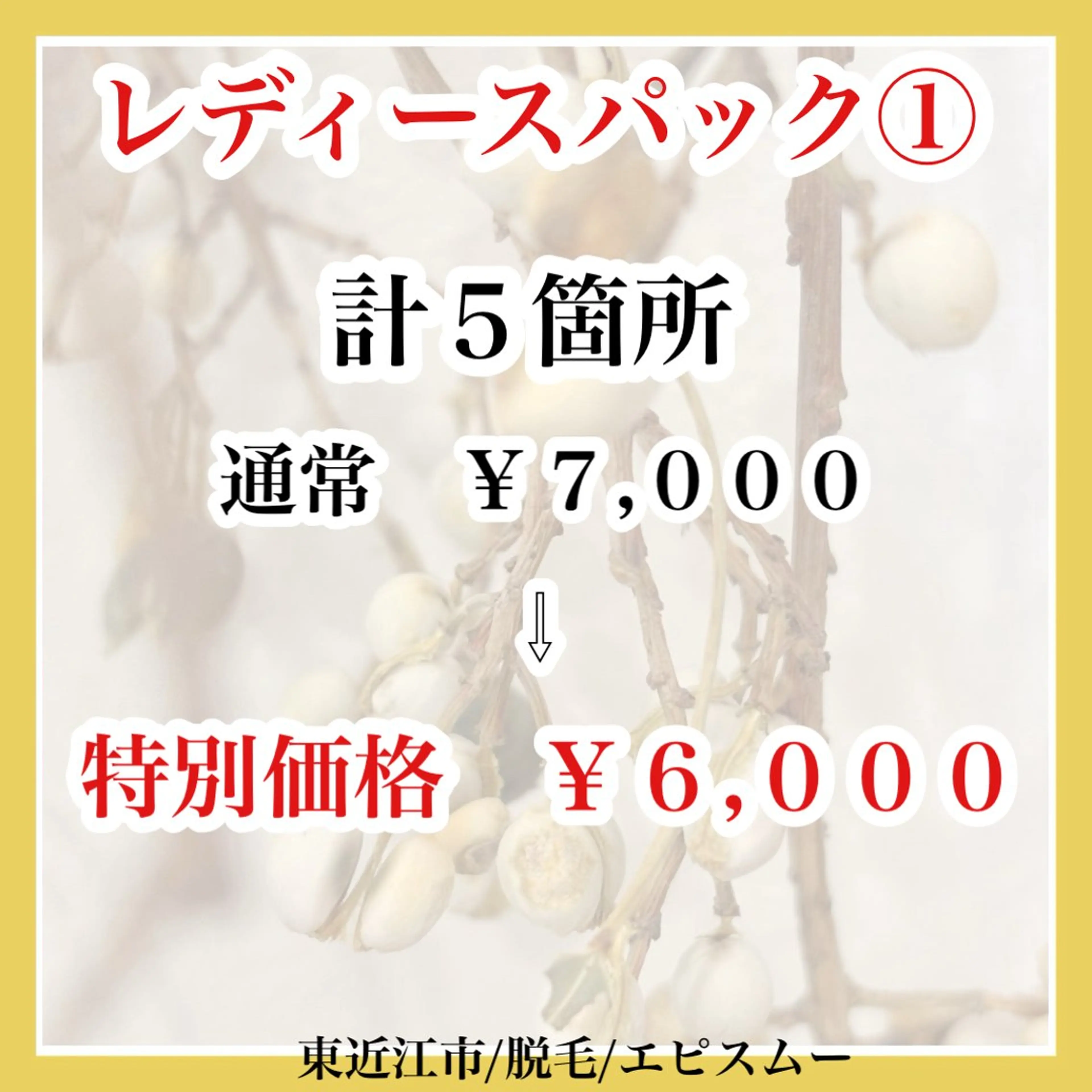 epismoo 脱毛/HBL/毛穴の眉毛・アイブロウイメージ