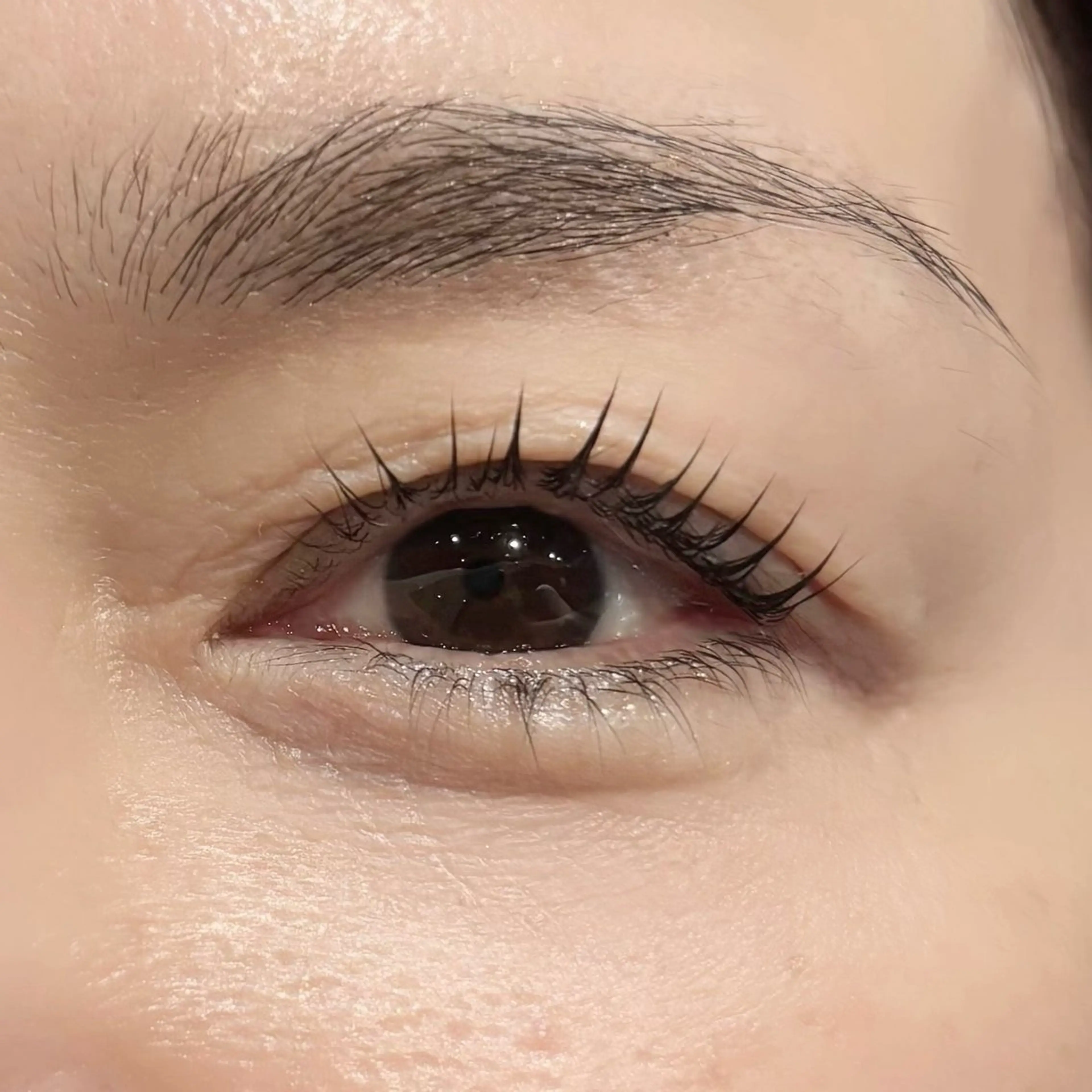 マツエク・マツパ Silk by Bianca 柳🐕のマツエク・マツパデザイン