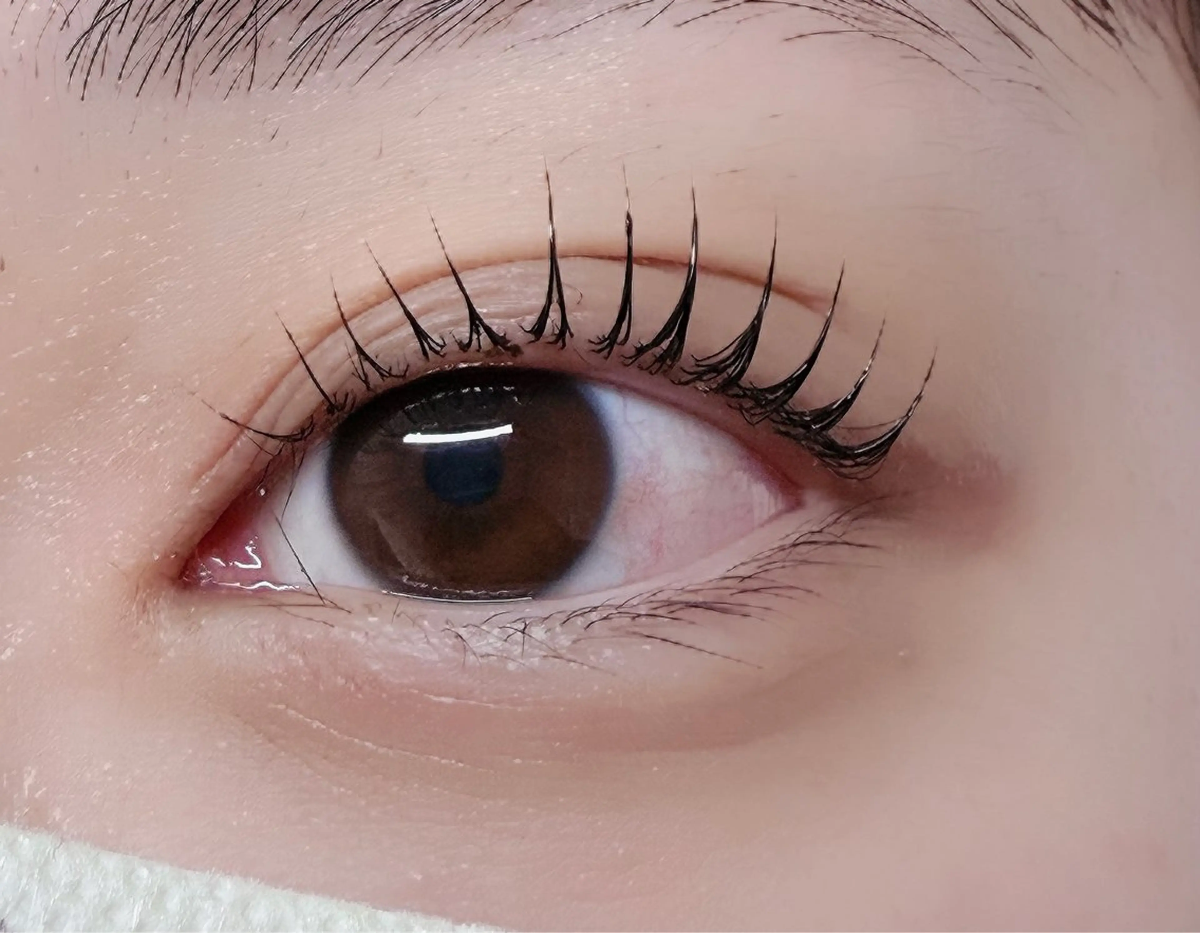 マツエク・マツパ マツパ ルチア💞 lucia高田馬場のマツエク・マツパデザイン