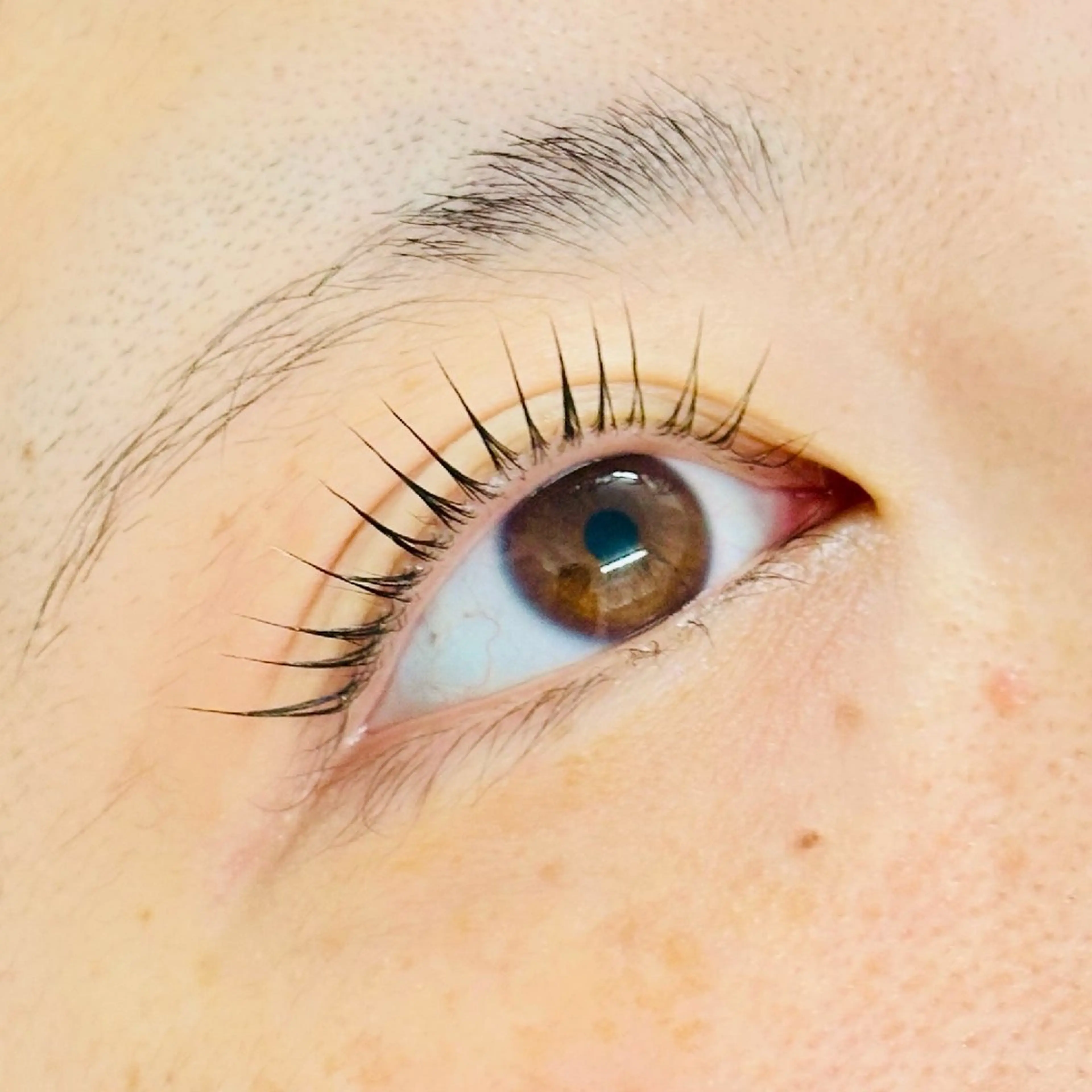 マツエク・マツパ マツパ on .のマツエク・マツパデザイン