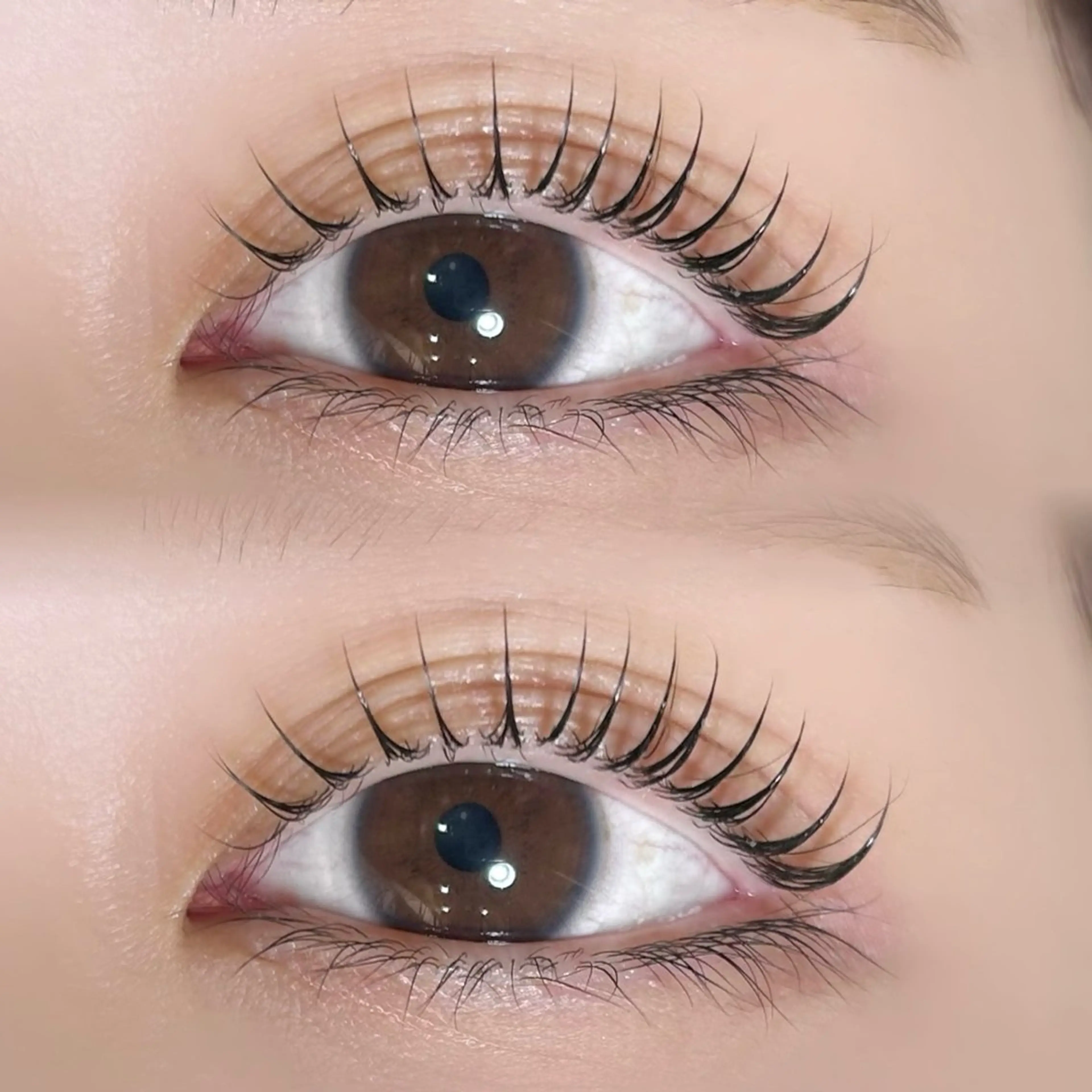 マツエク・マツパ Dカール マツパ 🦋MaaZ lash2🦋のエステ・リラクイメージ