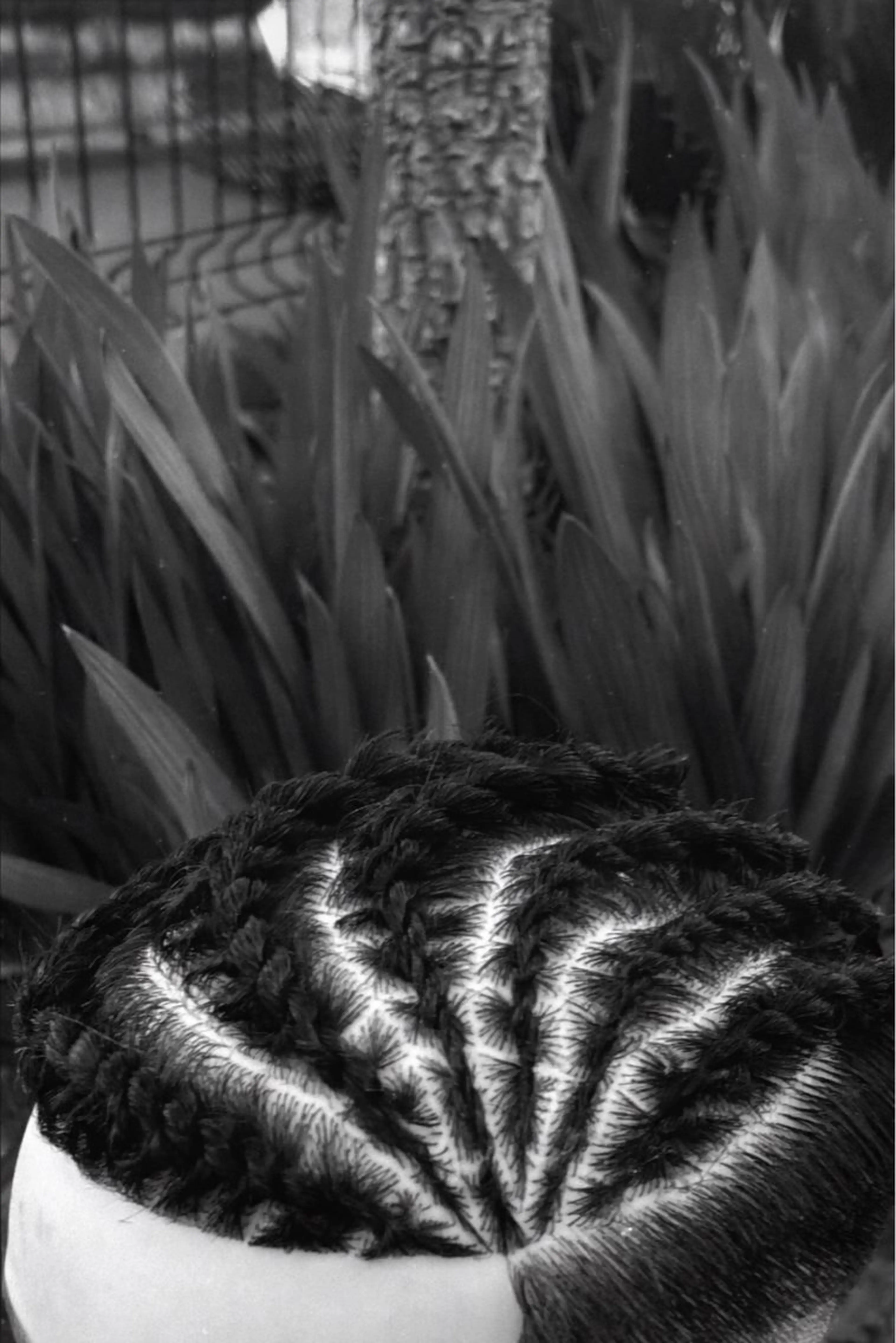 村山 絢星のヘアスタイル