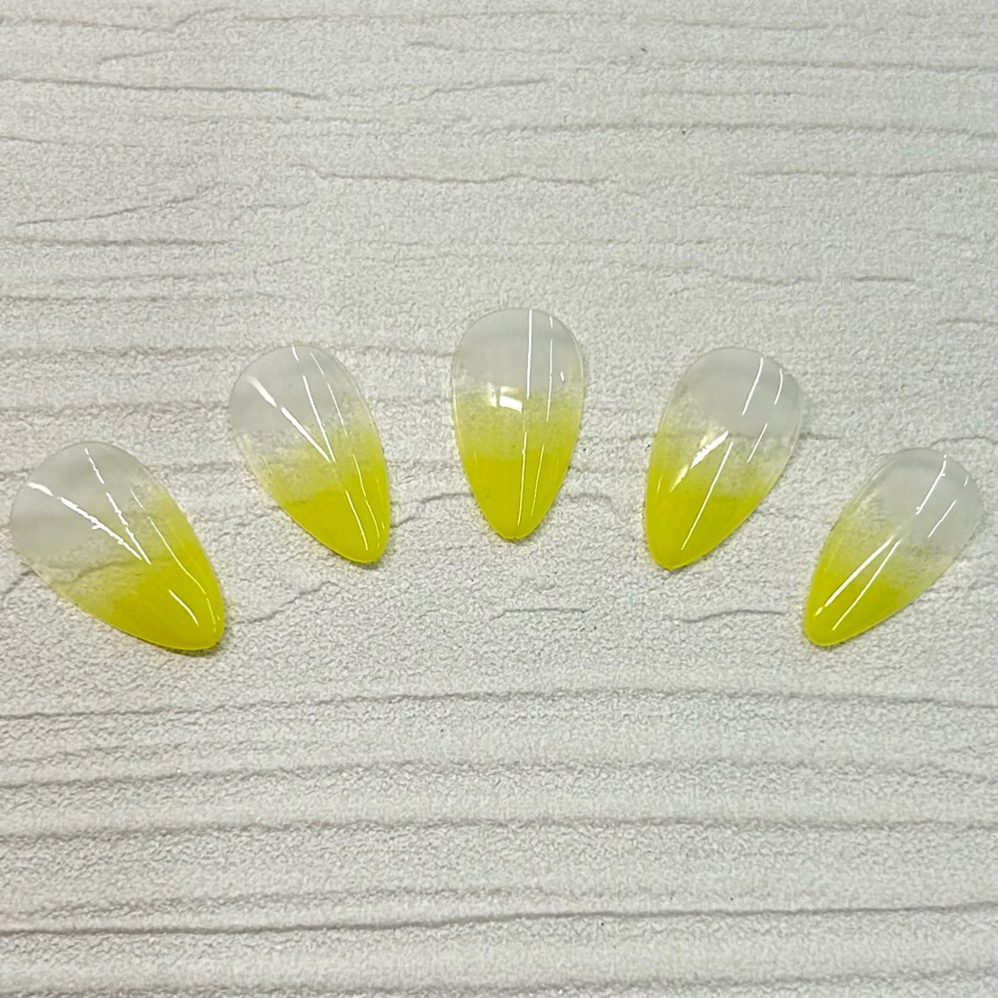 【ずっとオフ無料🎶】カラーグラデーションの写真