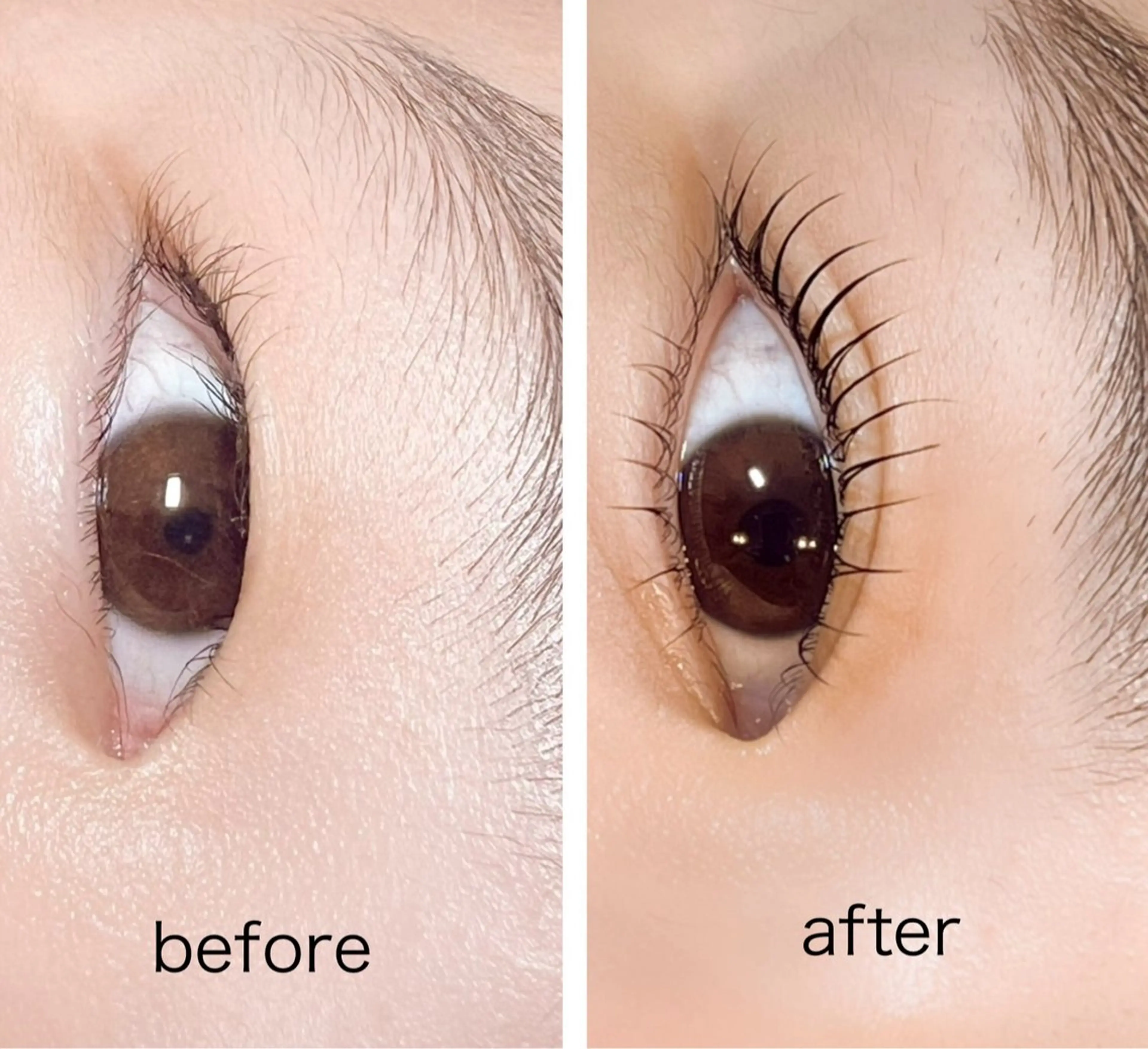 パーマ F TOMOMIのマツエク・マツパデザイン