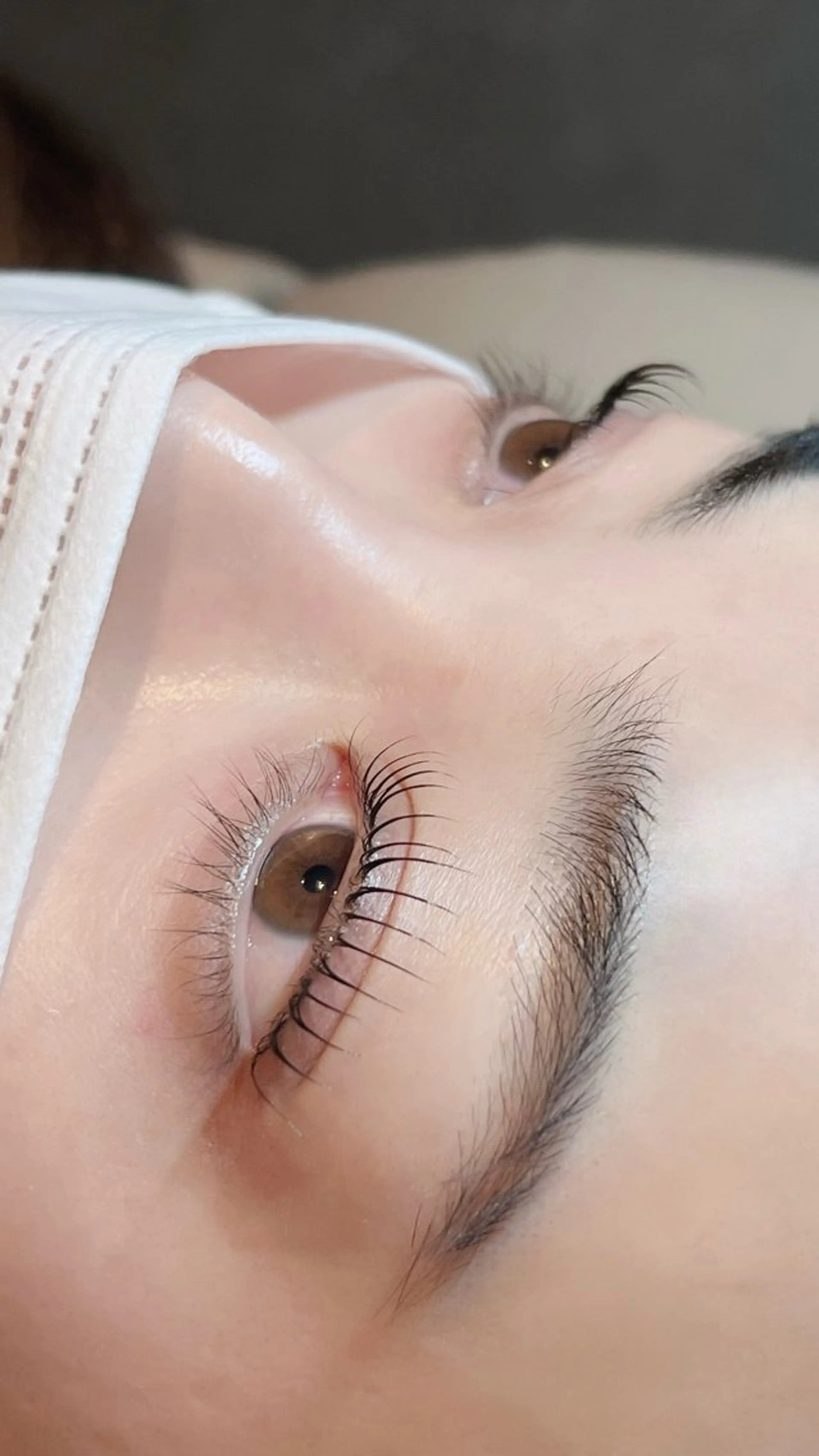 パリジェンヌラッシュリフト[高濃度トリートメント付き🧂］の写真