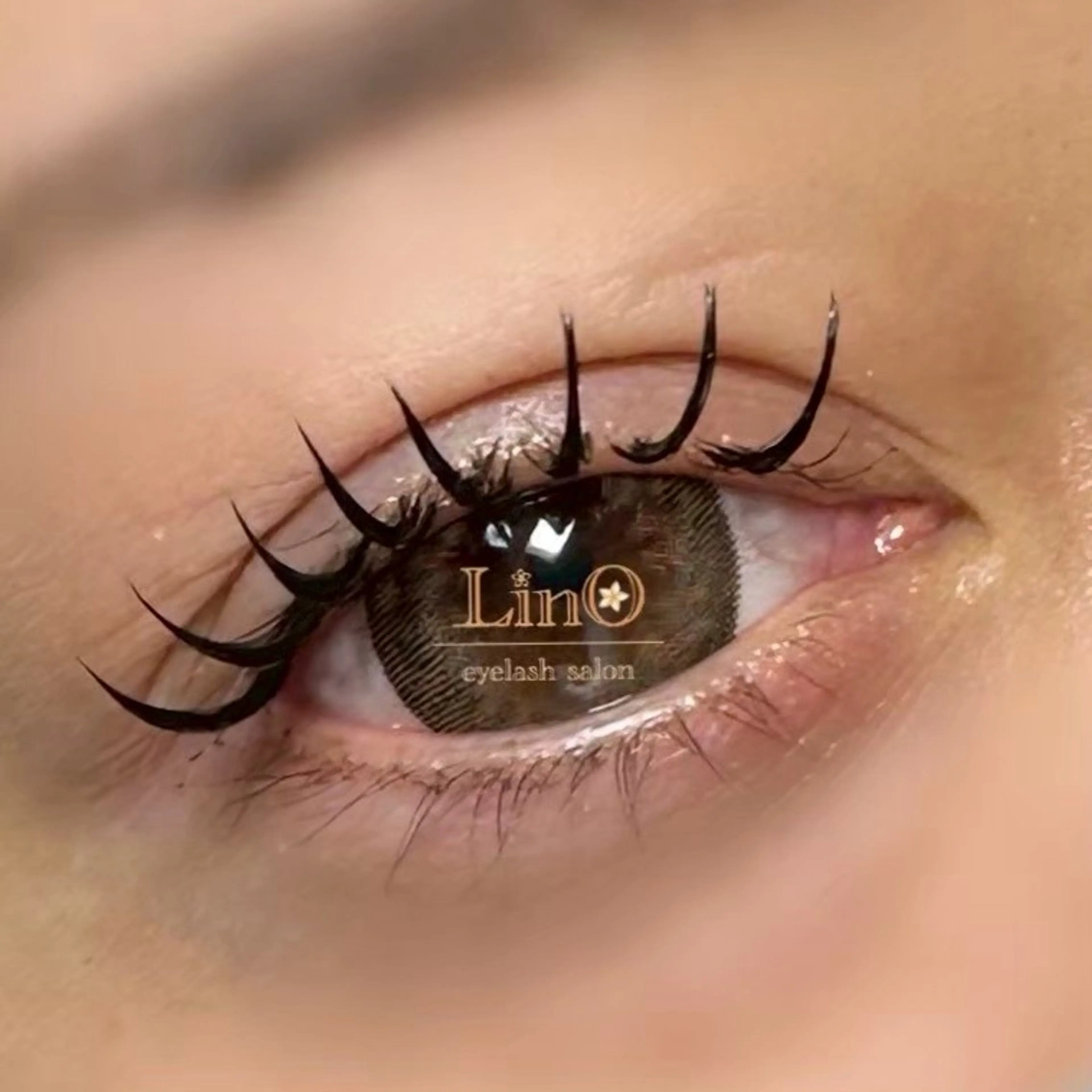 4月【先着1日2名様💘】Wフラット 60束（シングル120本程度の濃さ）※現金支払いのみの写真