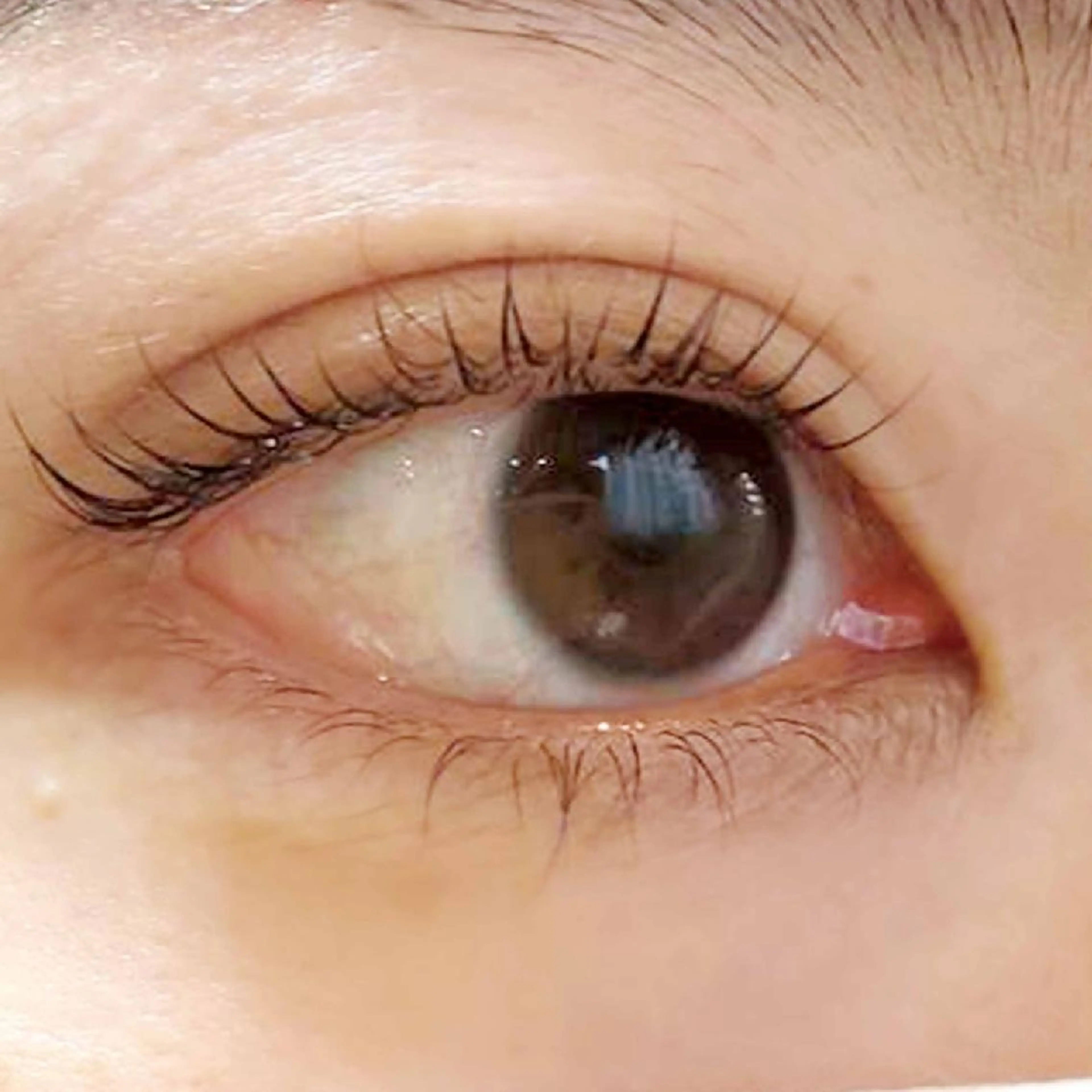 マツエク・マツパ マツパ MAXまつ毛& フェイシャルのマツエク・マツパデザイン