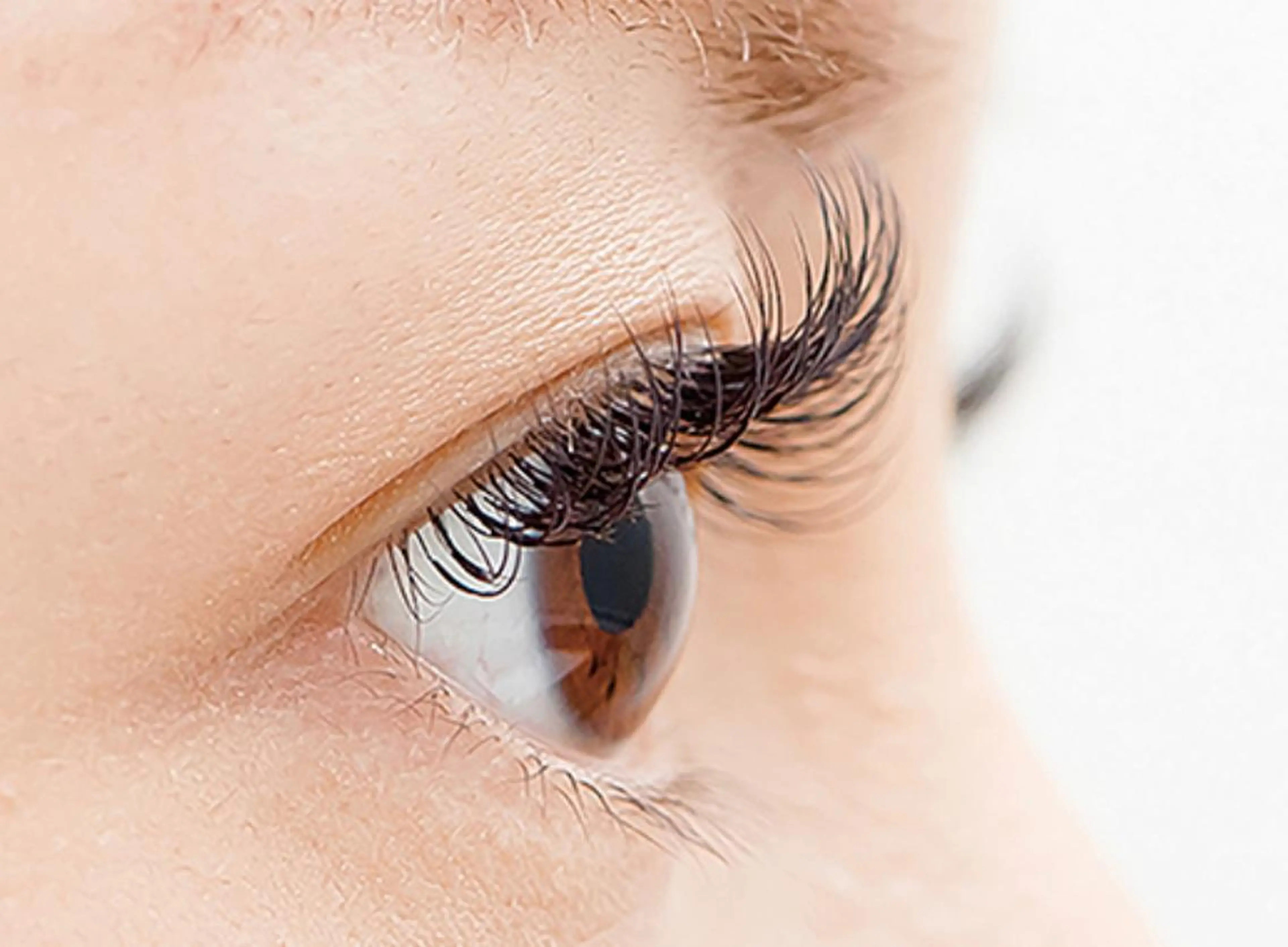 ⭐フラットラッシュ⭐まつげエクステ120本🦄の写真