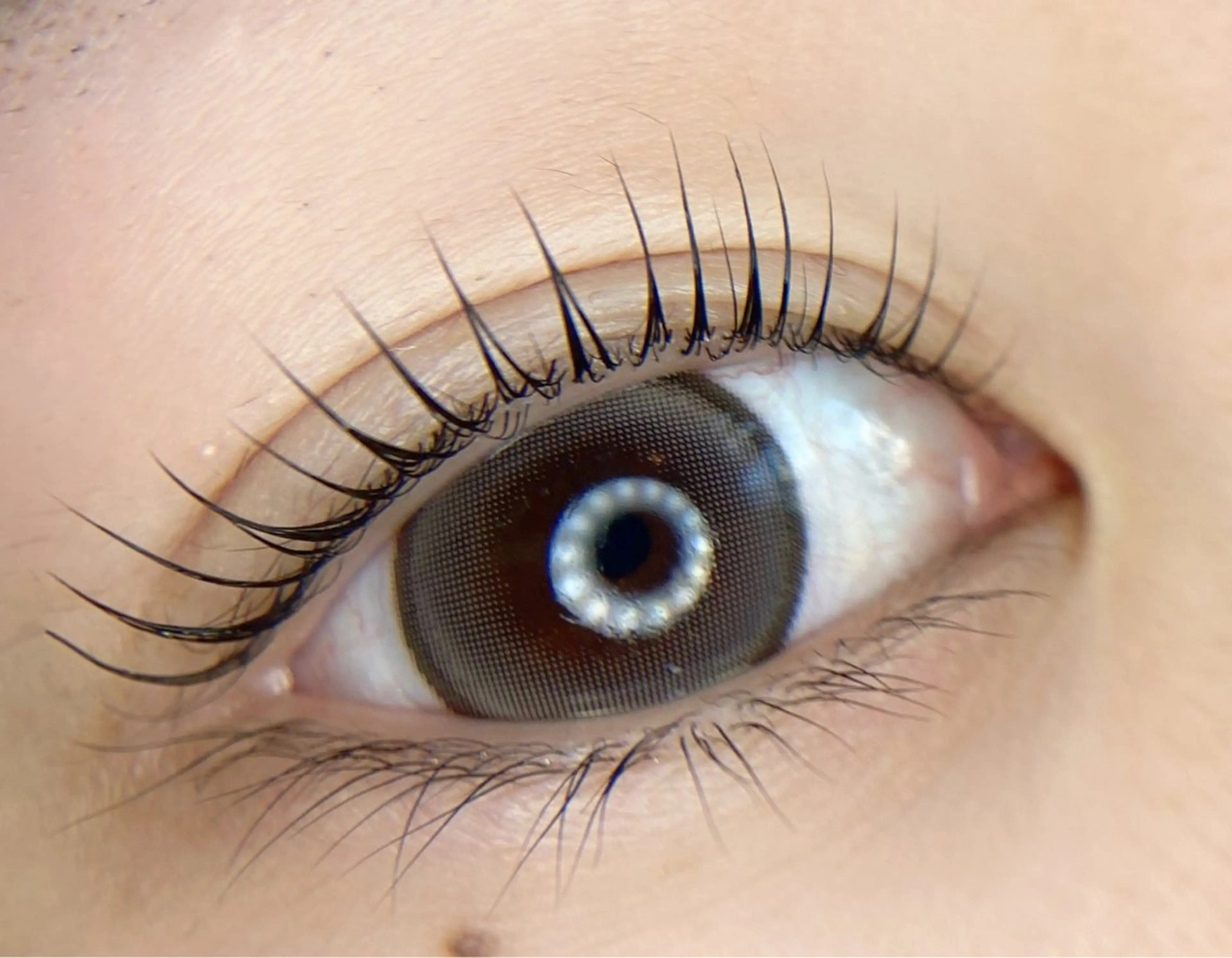 マツエク・マツパ マツパ tomte トムテのマツエク・マツパデザイン