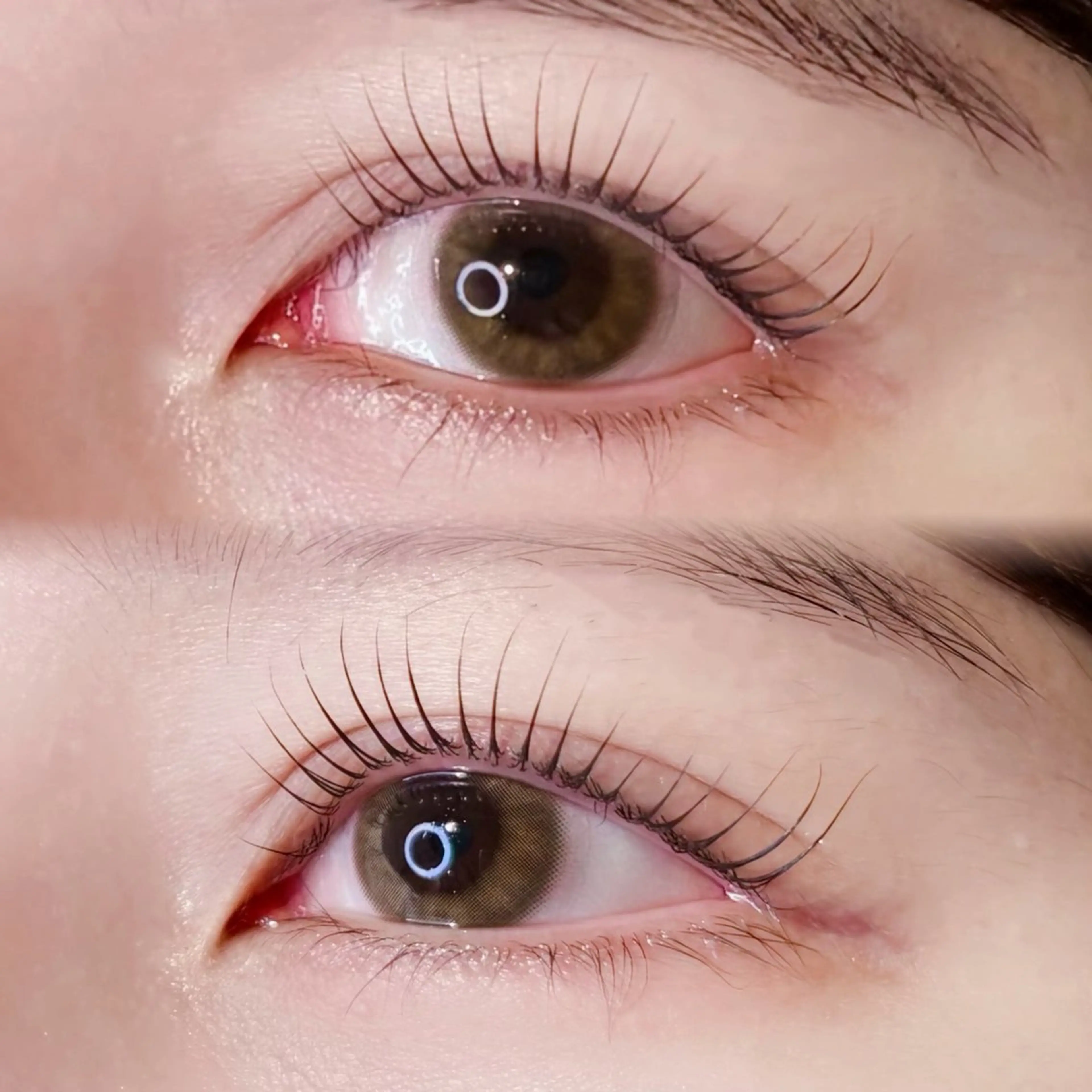 似合わせラッシュリフト🎀🤍の写真