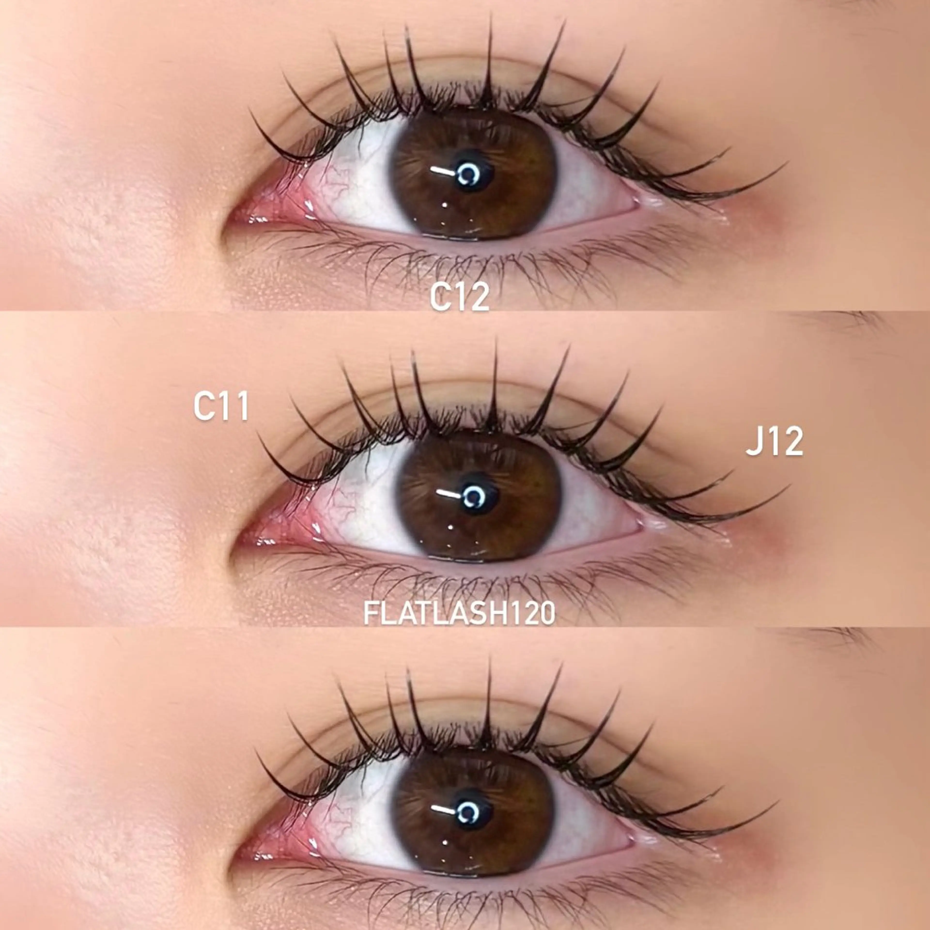 ãããšã¯ã»ããã ææãŸã€æ¯ ãããšã¯ meg .ã®ãããšã¯ã»ããããã¶ã€ã³