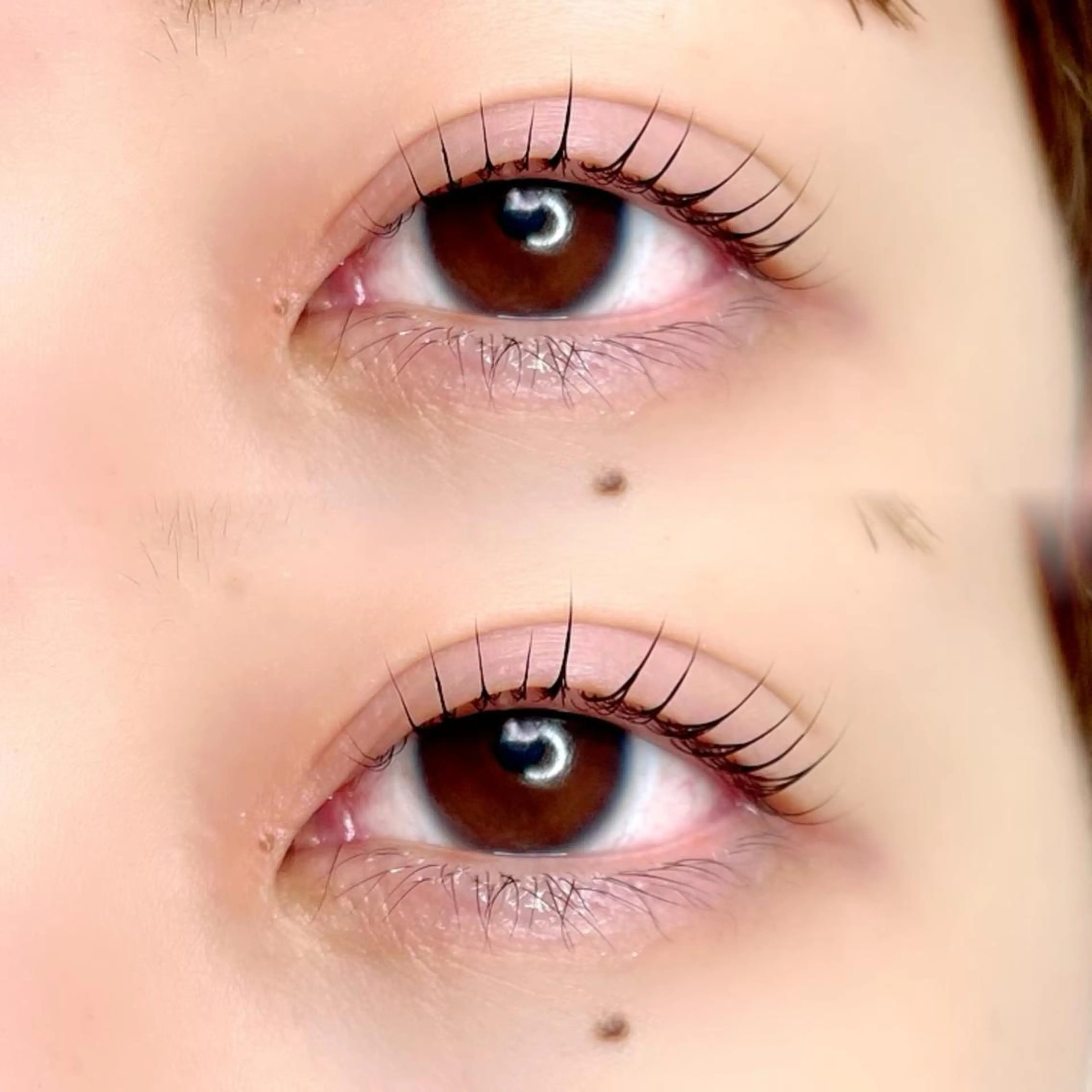 マツエク・マツパ iu.(イユドット)所属・🤍二条城北iu. /IKUHOのマツエク・マツパデザイン