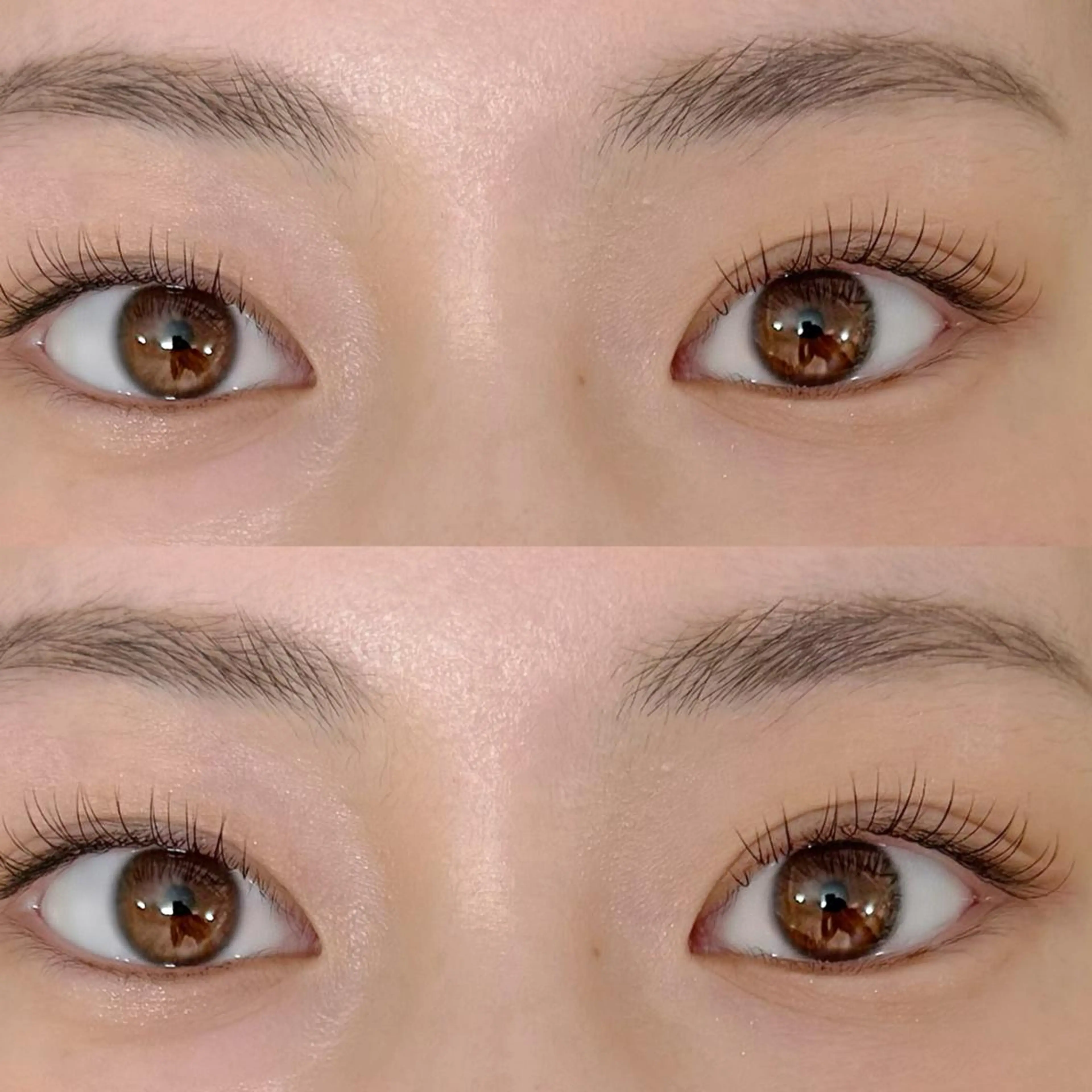 フラットラッシュ【60本】自まつ毛診断付きの写真