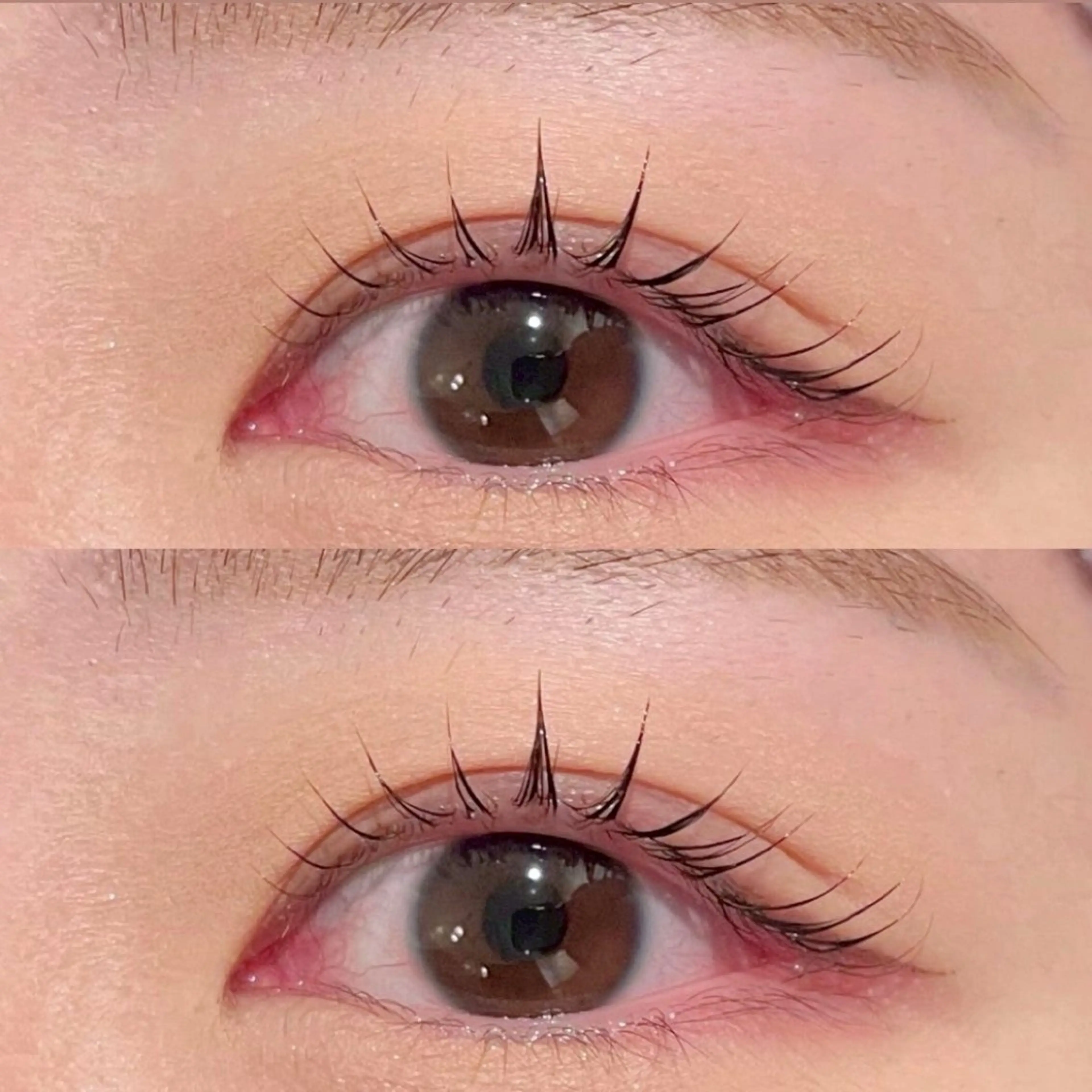 🌸3月・4月クーポン🌸【まつパ➕アイブロウ】セット割🙌🏻の写真