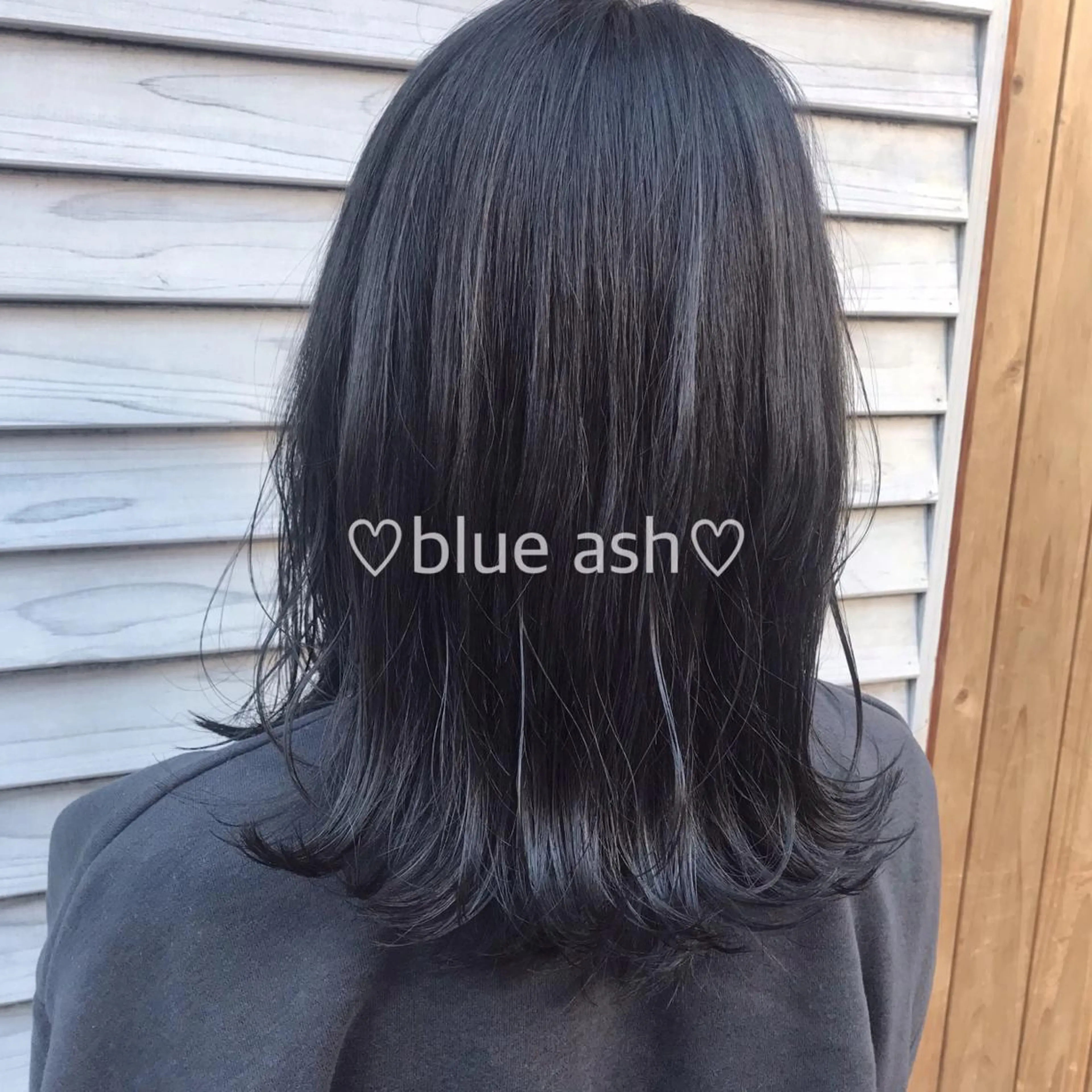 ミディアム カラー アッシュ ブルーカラー ブルーアッシュ 🪭risa 暖色/レイヤー🪭のヘアスタイル