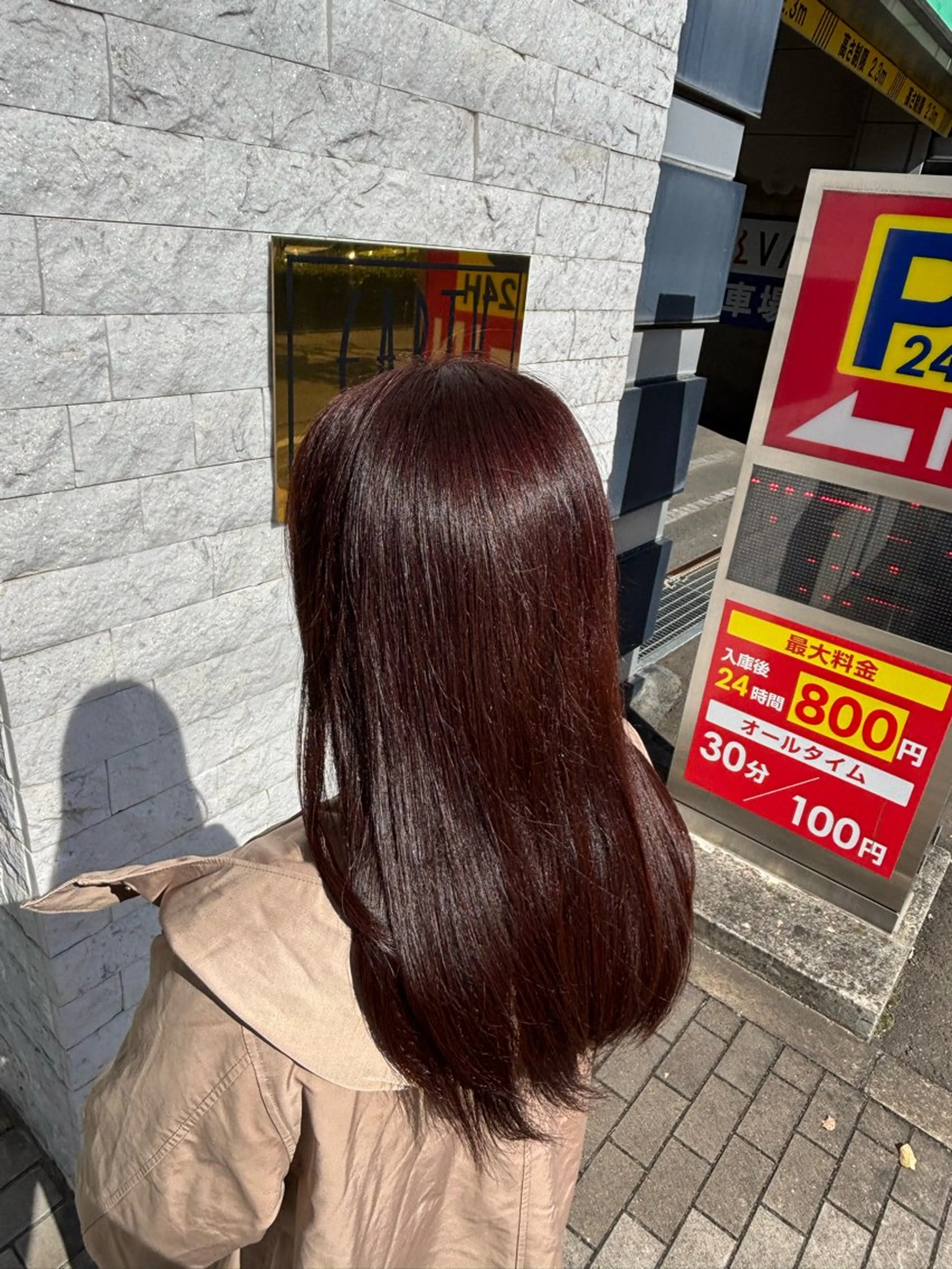 カラー EARTH 🐢 鈴木優大 🐢のヘアスタイル