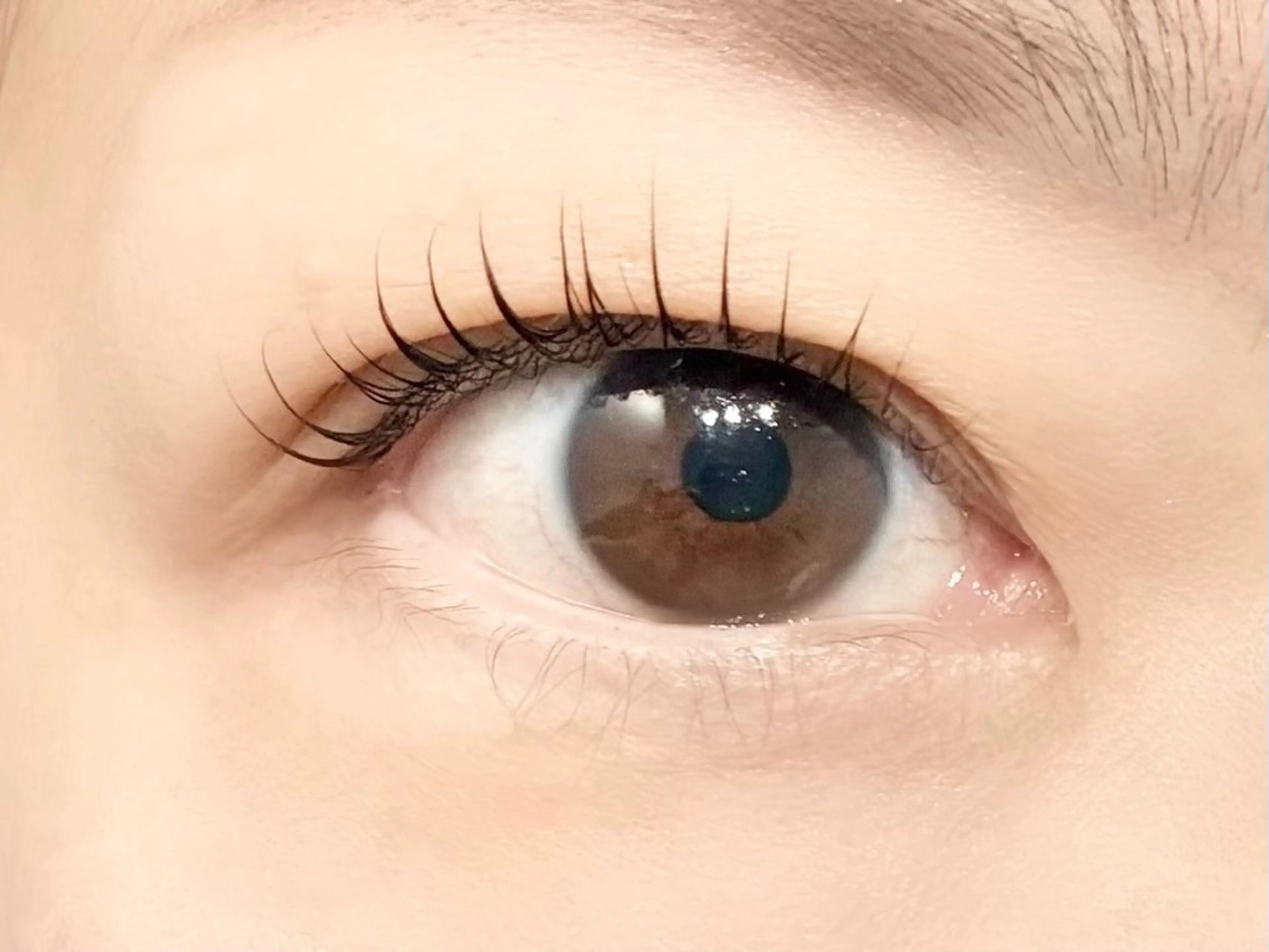 マツエク・マツパ マツパ 中村彩香 (エフドゥ)のマツエク・マツパデザイン