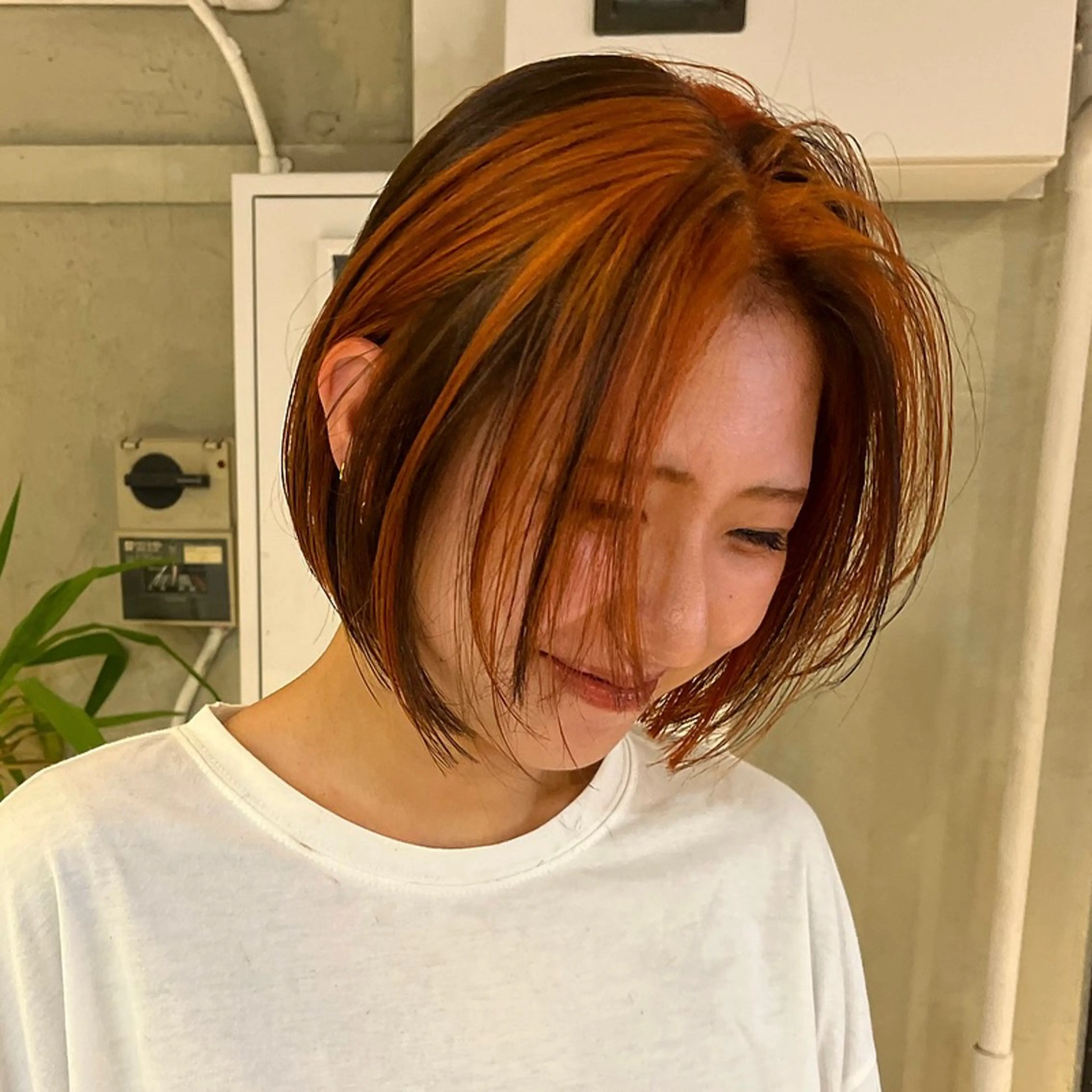 ショート カラー ボブハイトーン🦖 デザインMAMIのヘアスタイル