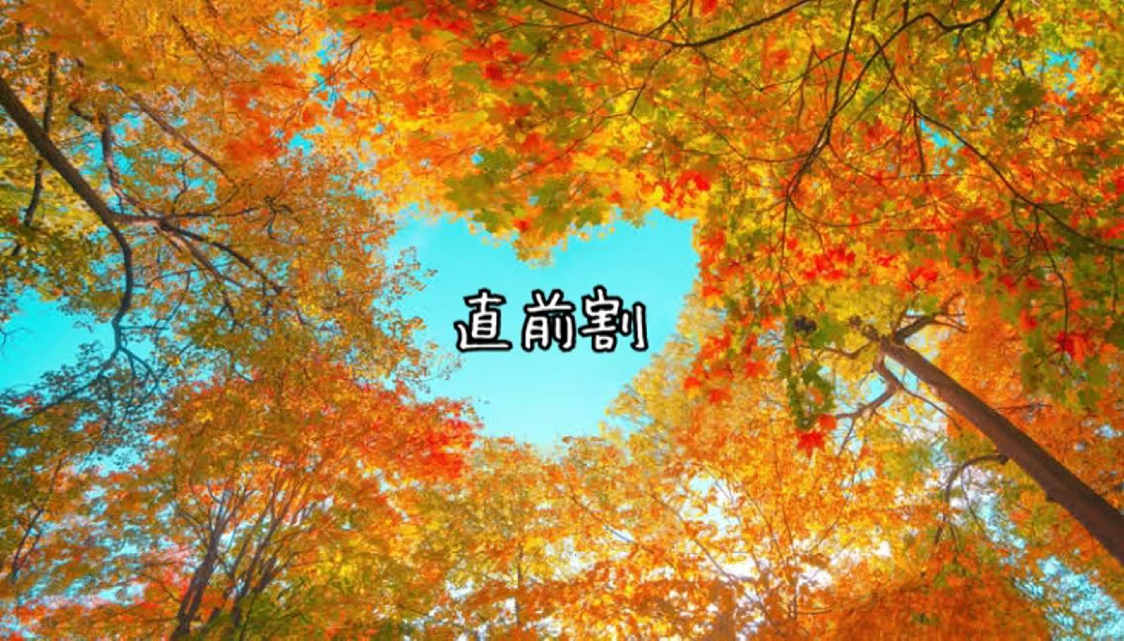 マツエク・マツパ ツメイク船橋店★ manamiのマツエク・マツパデザイン