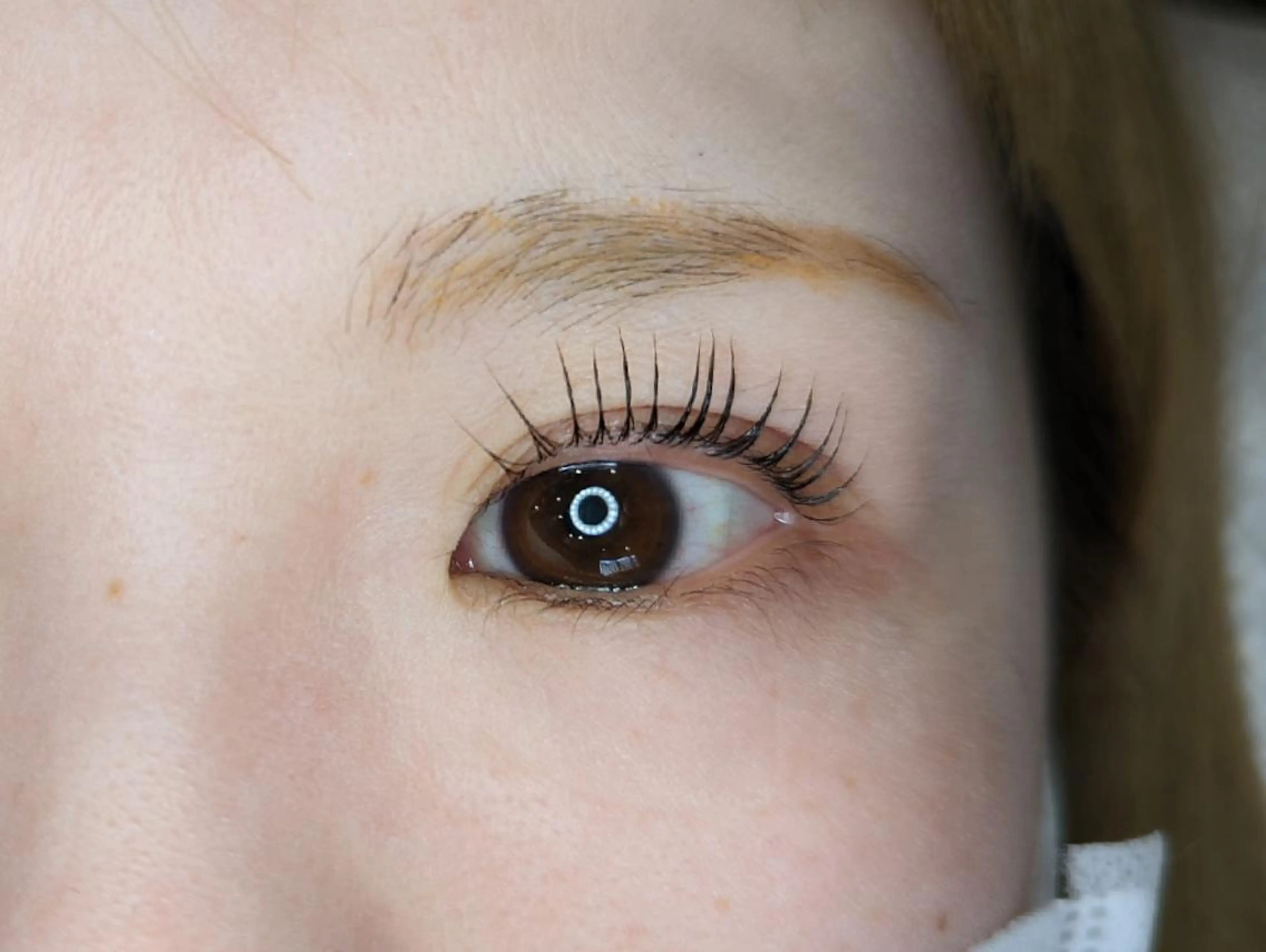 パーマ マツパ 【STEEL池袋】 🌈MASHIMAのマツエク・マツパデザイン