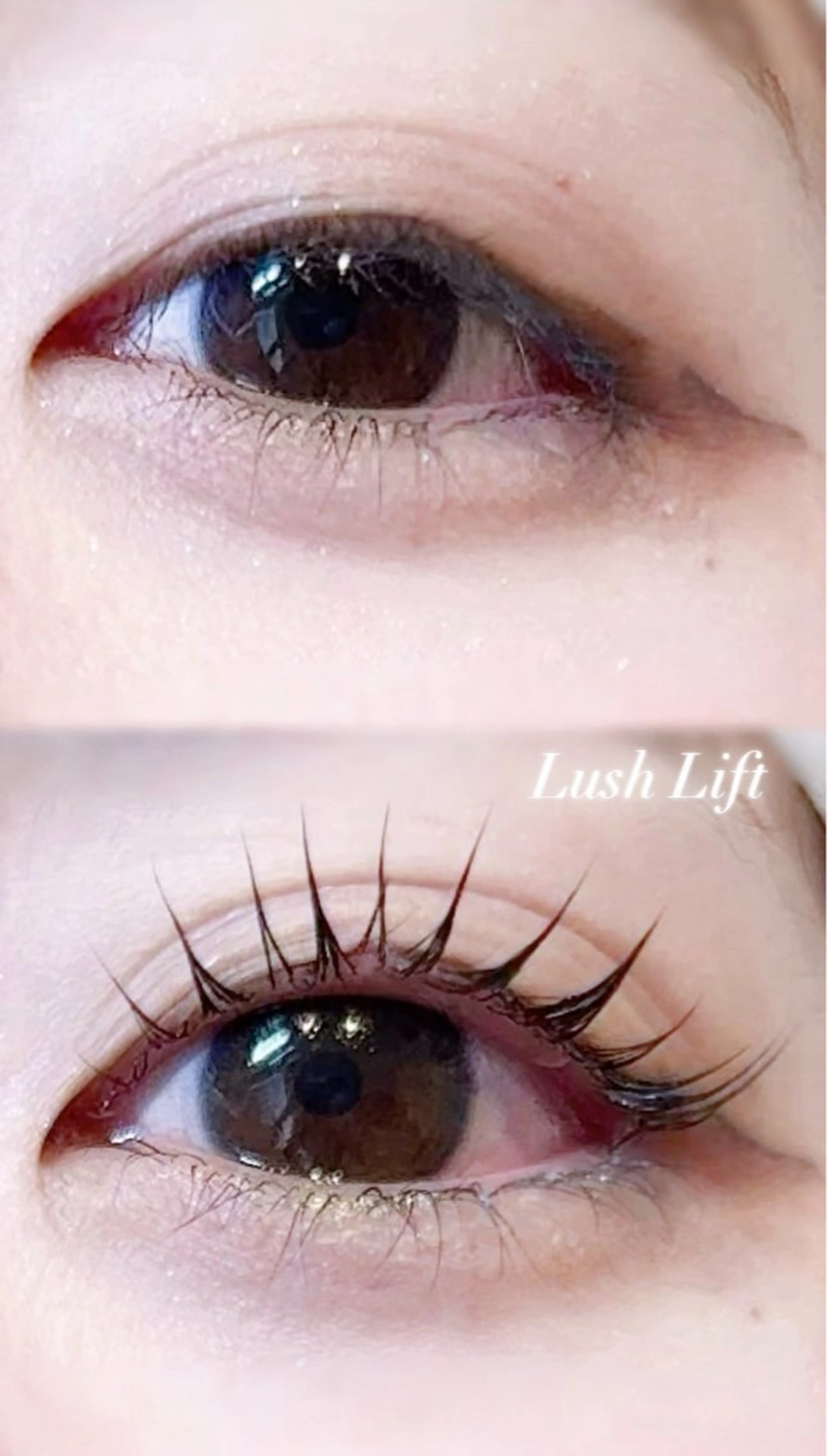 マツエク・マツパ マツパ ELRe MIUのマツエク・マツパデザイン