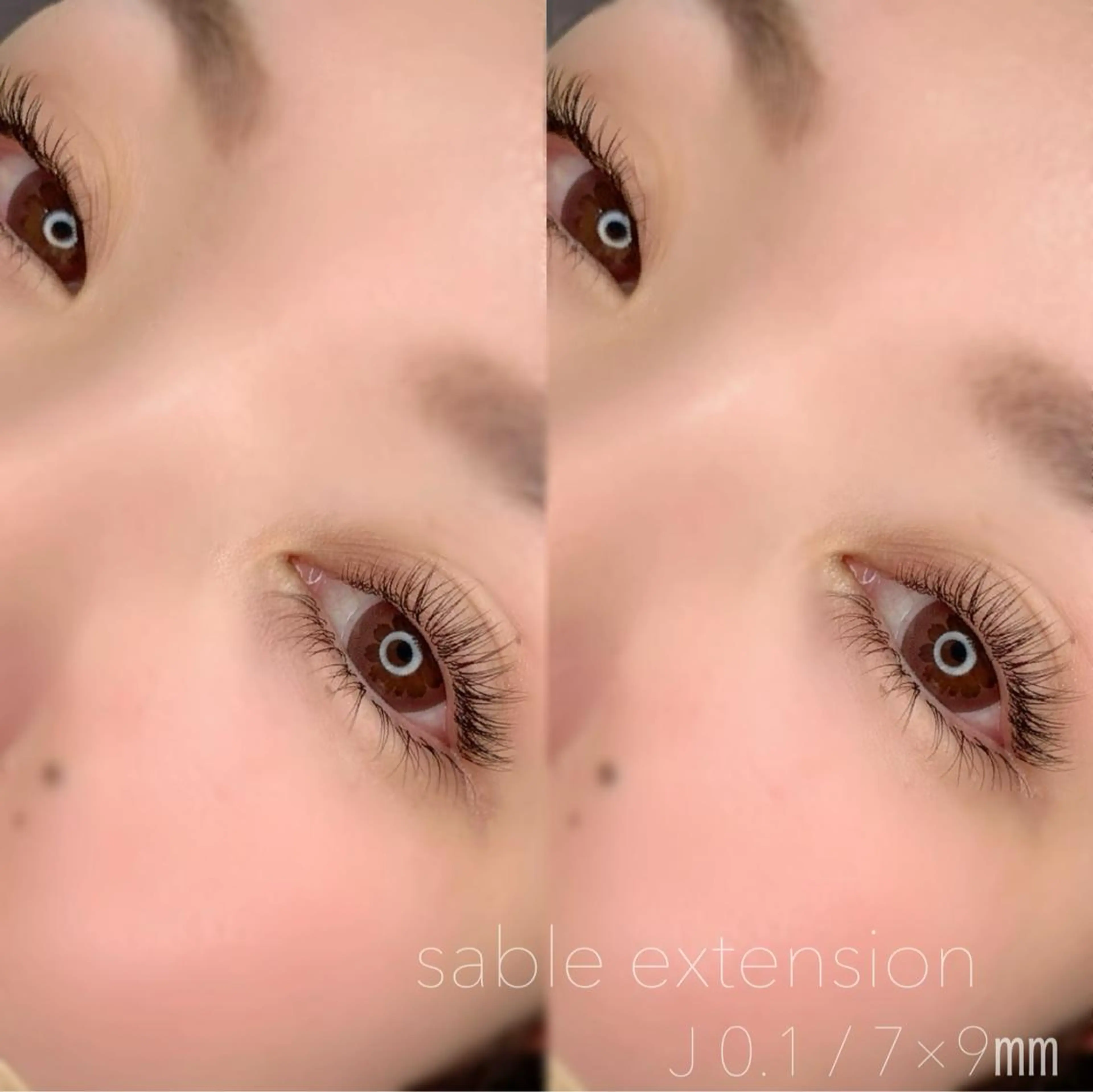 セーブル上つけ放題の写真