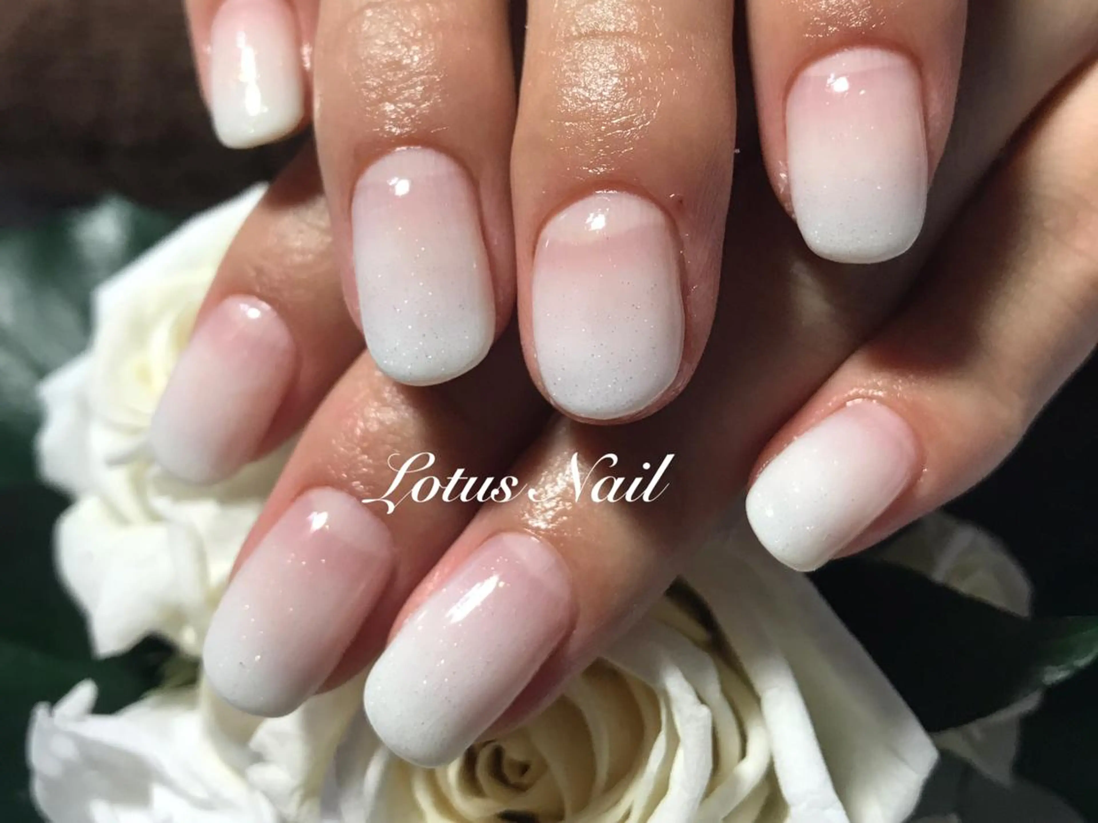 ネイル グラデーション シンプルネイル Lotus Nailのネイルデザイン