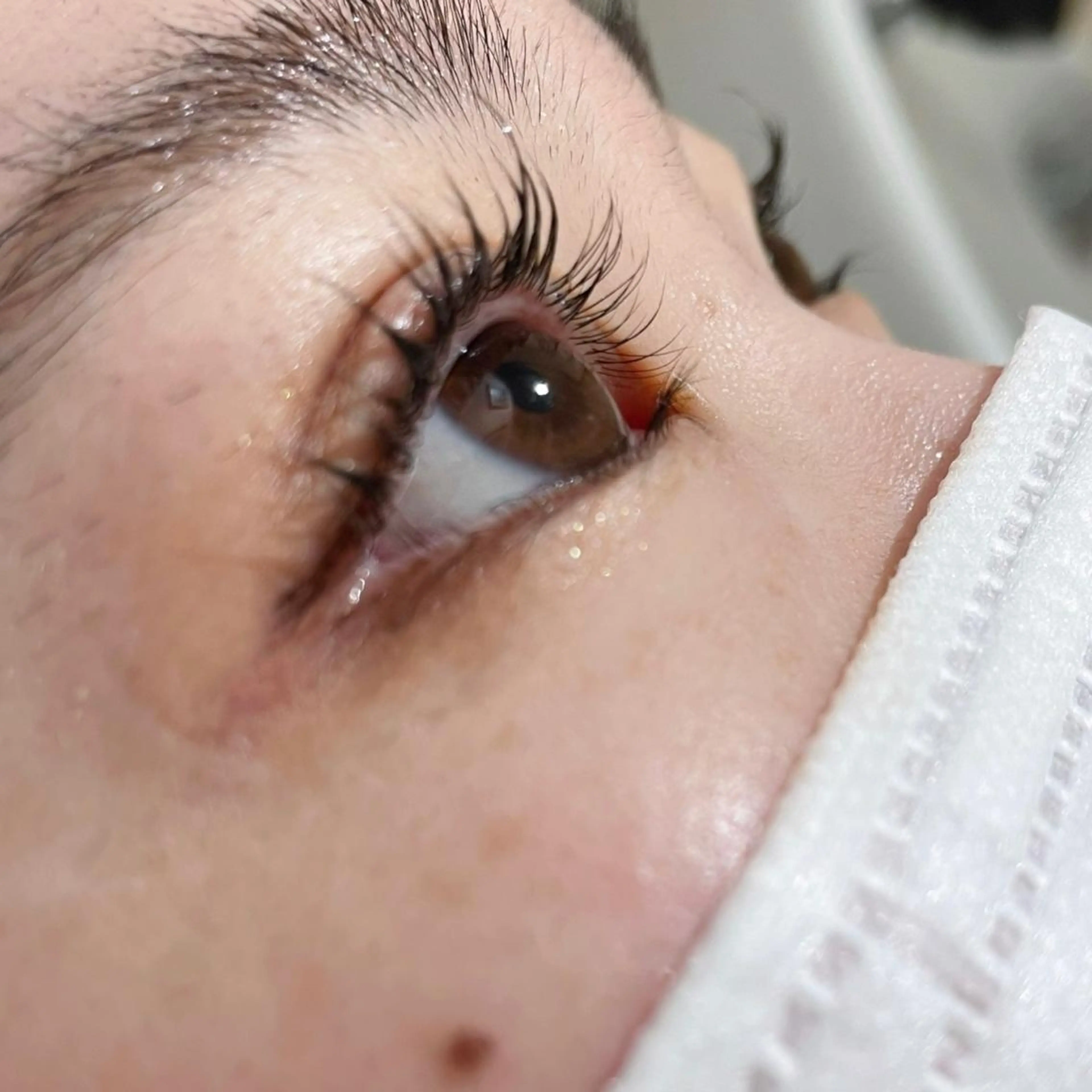 《ご新規様限定❕》　大人気マツパメニュー👀の写真