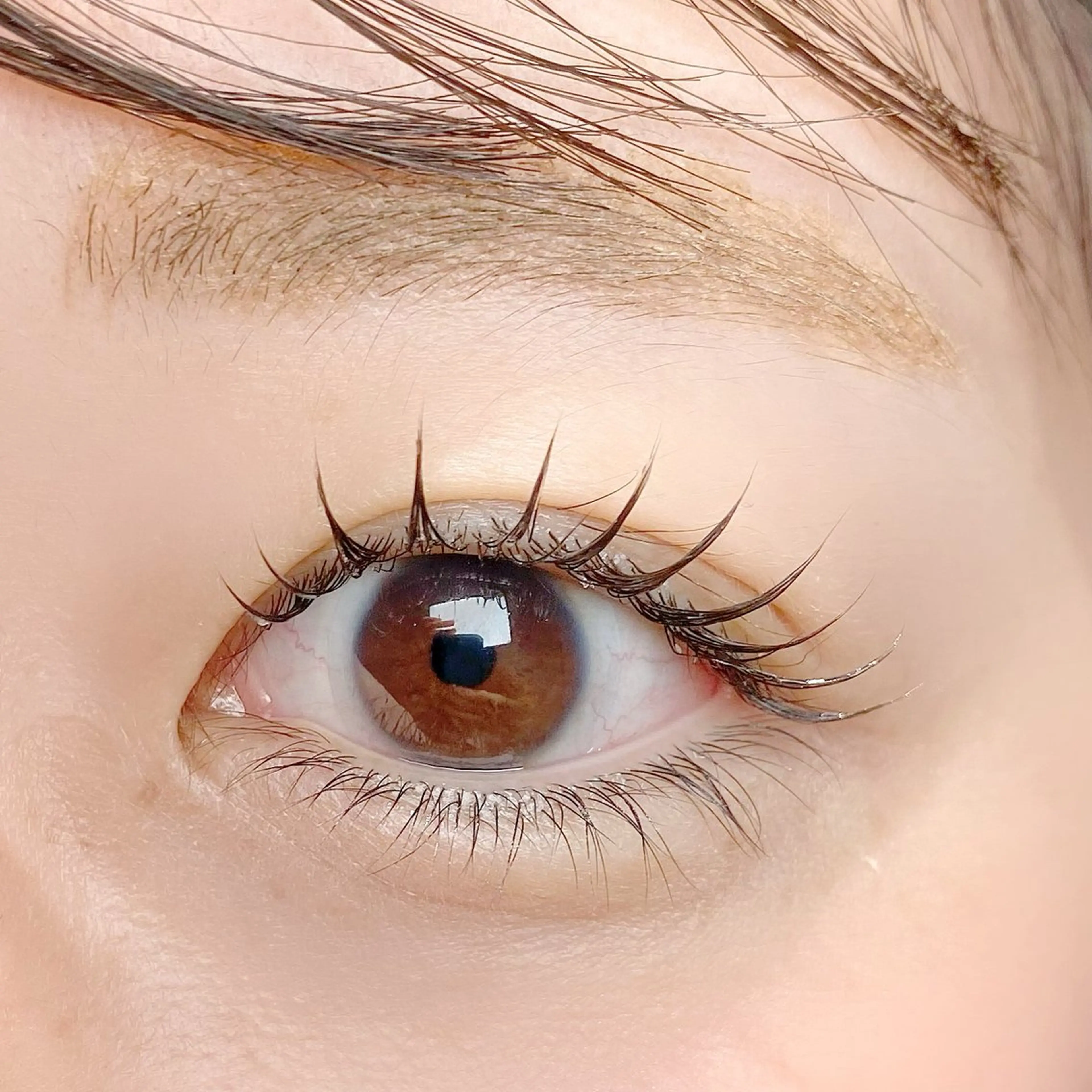 マツエク・マツパ フラットラッシュ パリジェンヌラッシュリフト 一重×まつ毛パーマ ボリュームラッシュ マツパ 束感パリジェンヌ上下 恵比寿ayakaのマツエク・マツパデザイン