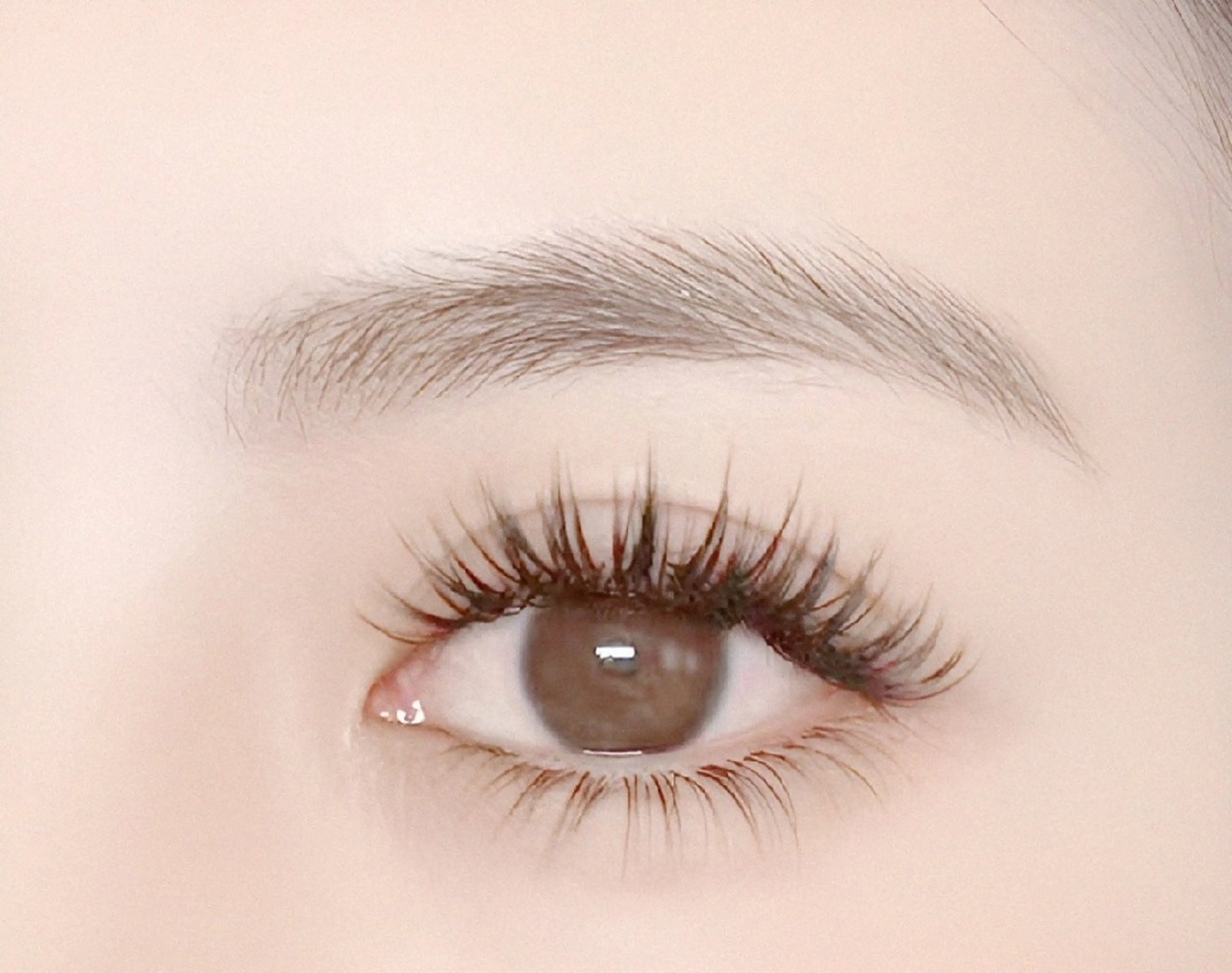 【オフ無料★】4D&5D上下ボリュームラッシュ（上500本・下30本）￥8980の写真