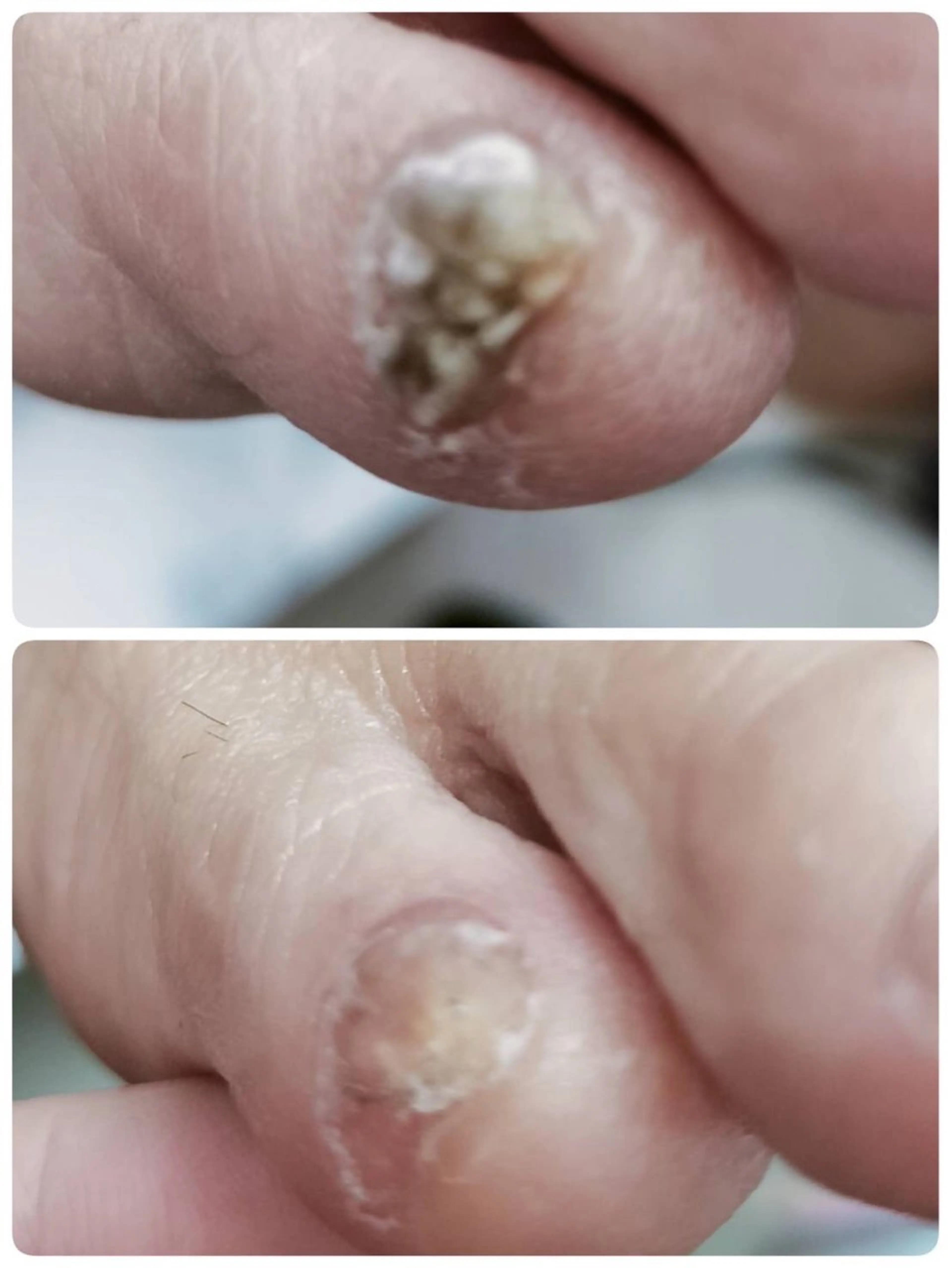 ネイル その他(ネイル) e.nail所属・和賀井 恵理のネイルデザイン