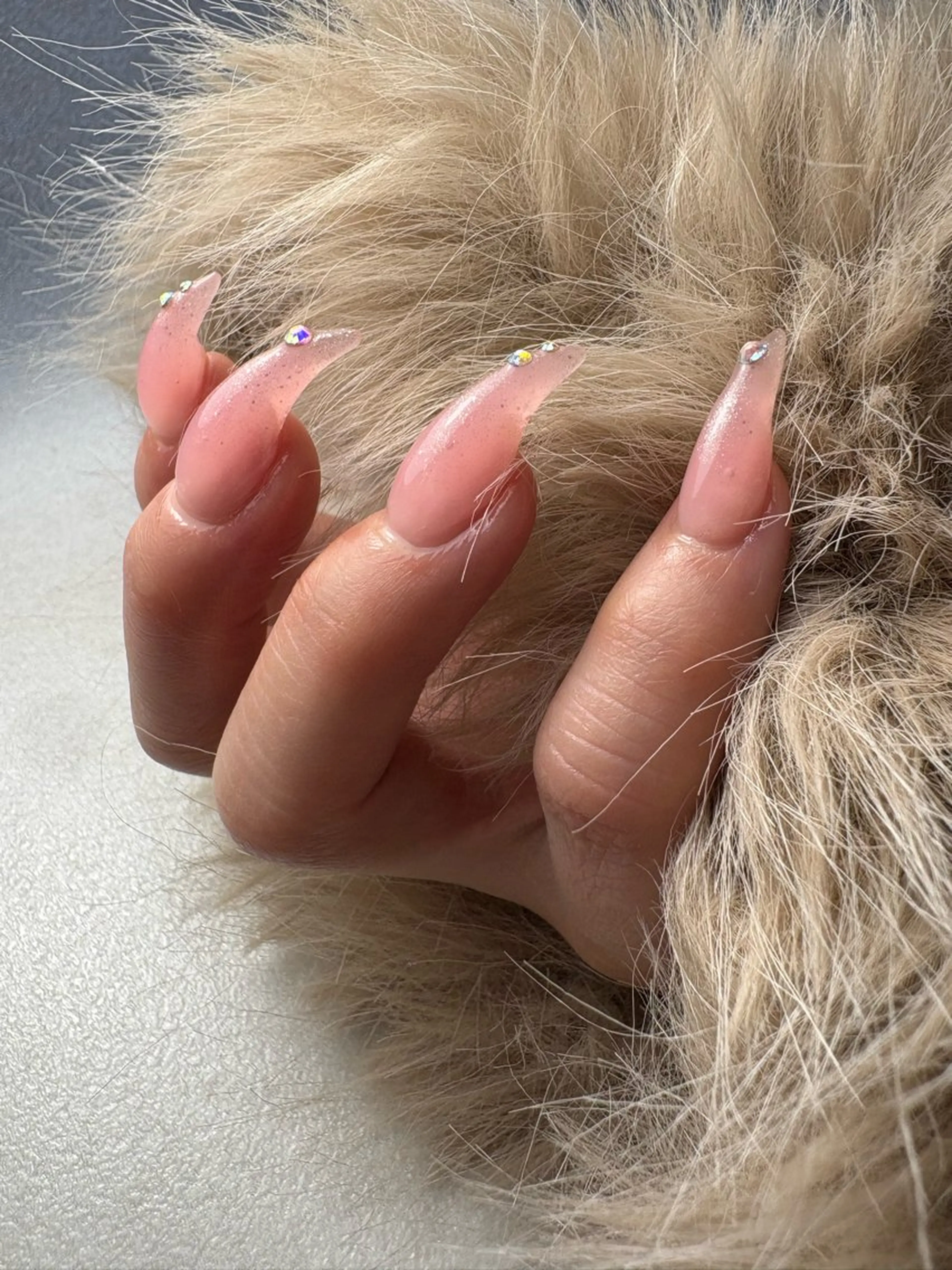 猫爪/catnails😻60分アートパーツし放題❤️の写真