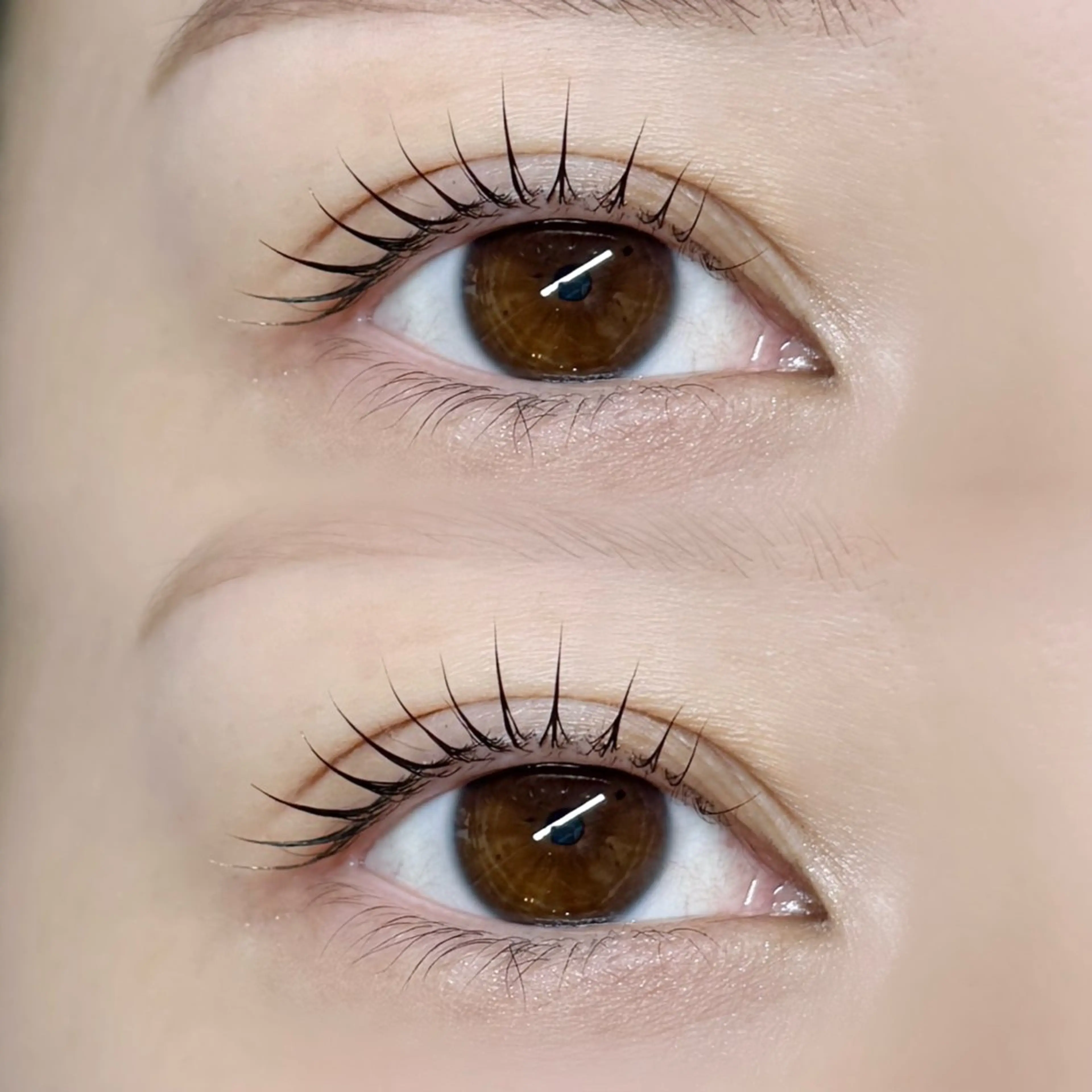 ミニモ限定価格【90分】上まつげパーマorパリジェンヌラッシュリフト✨美容液仕上げ✨の写真