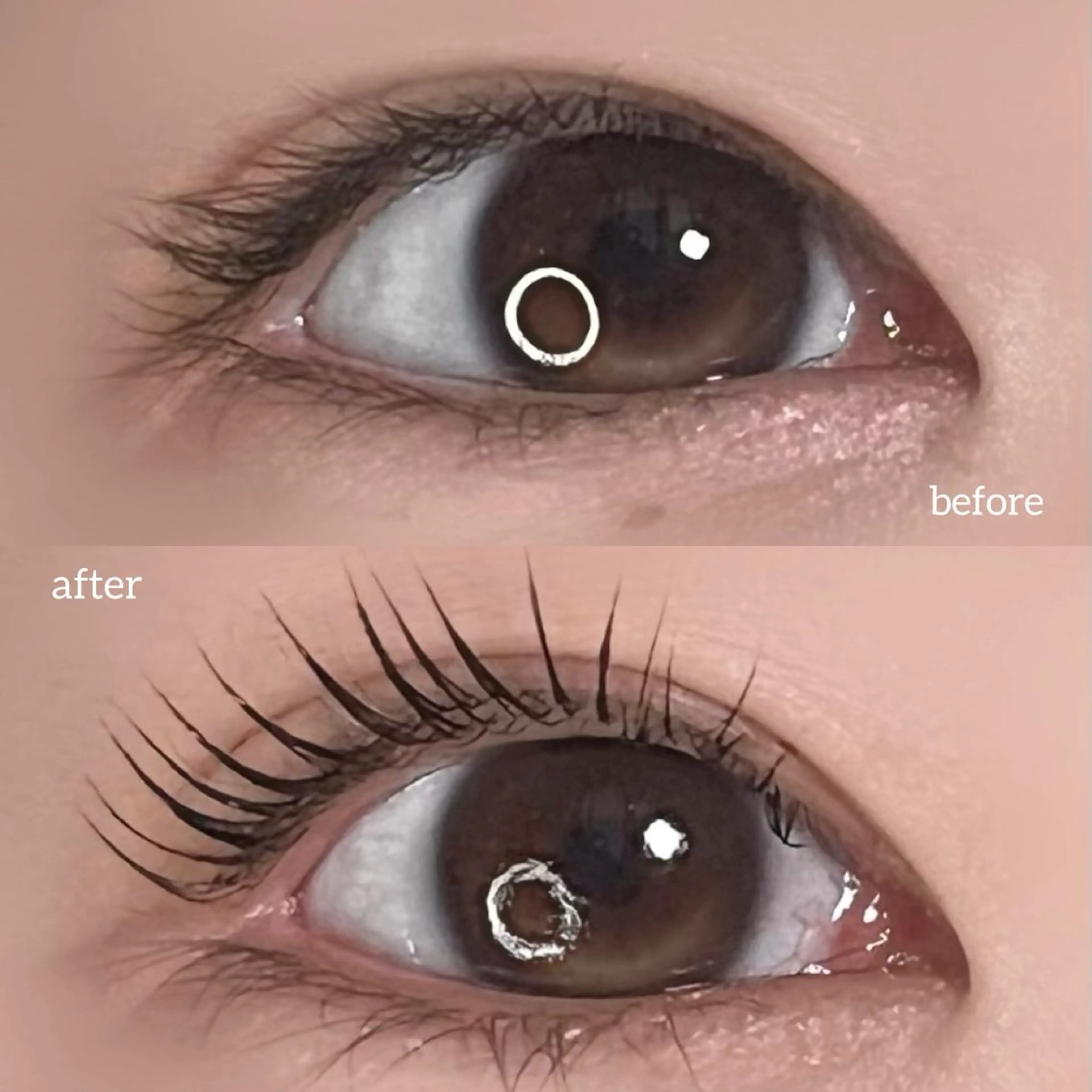 マツエク・マツパ 垢抜け眉WAX専門 ちゅるんまつげ|鎌倉の眉毛・アイブロウイメージ