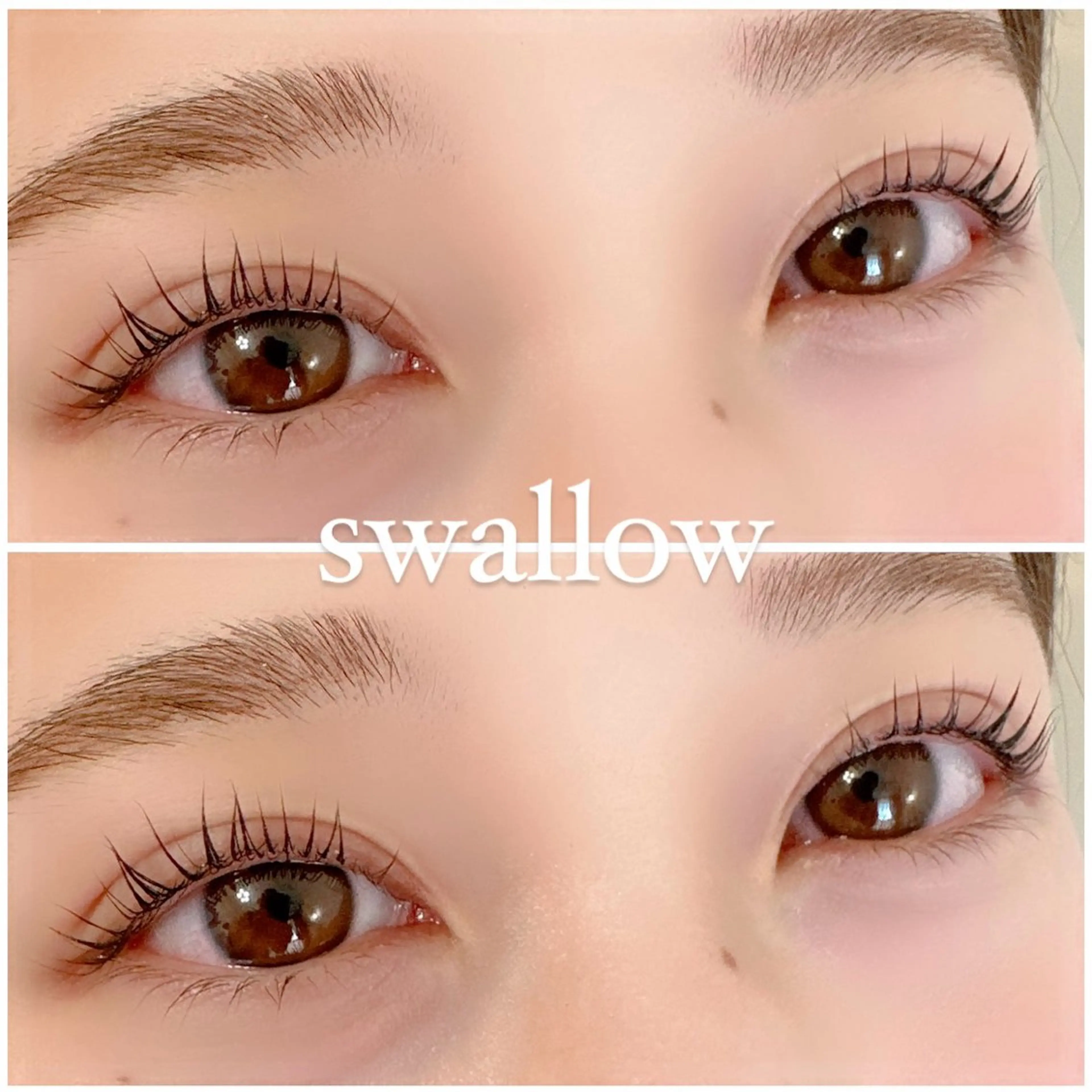 マツエク・マツパ Dカール 一重×まつ毛パーマ swallow 奈良西大寺店のマツエク・マツパデザイン