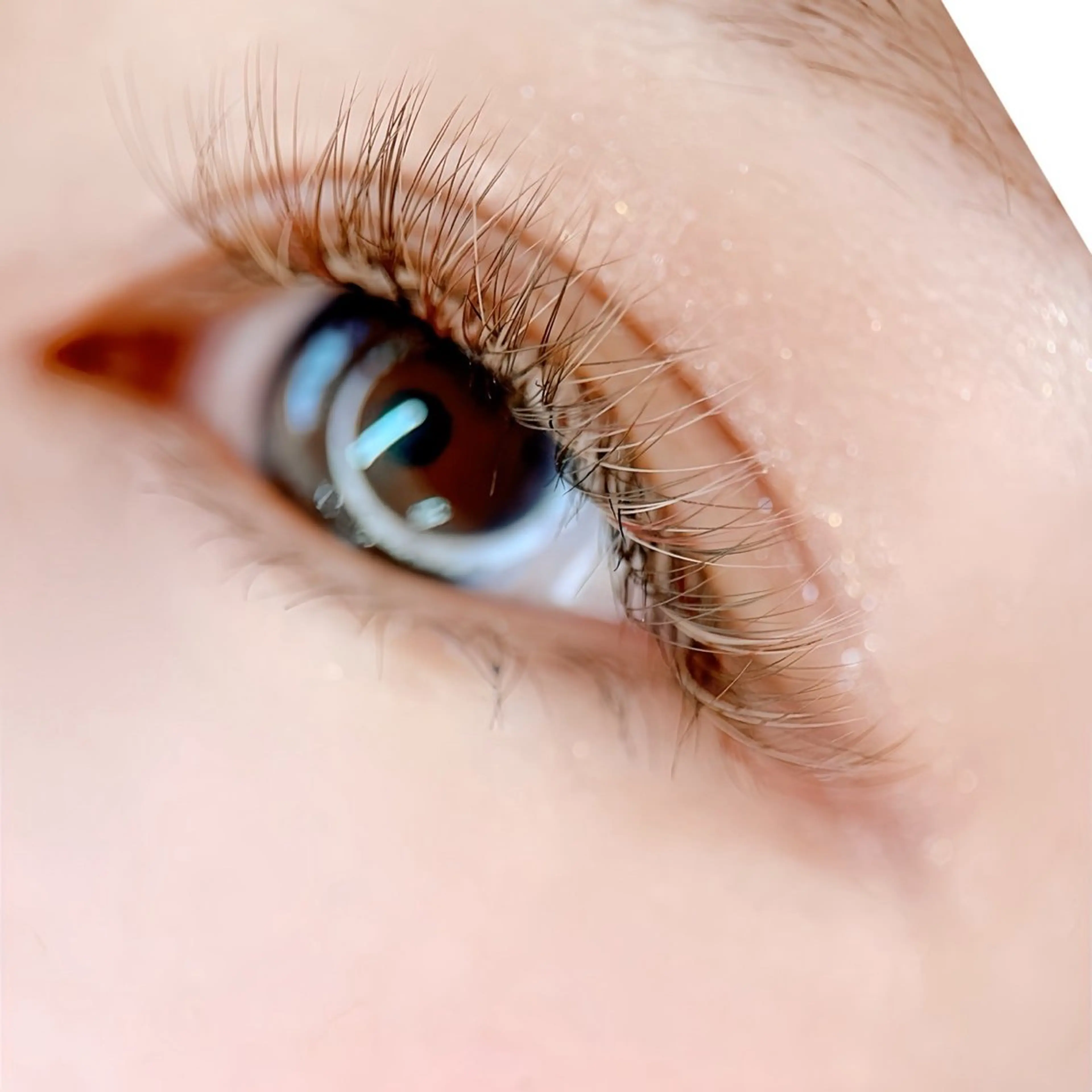 マツエク・マツパ カラーマツエク ボリュームラッシュ AYA 【eyelash】のマツエク・マツパデザイン