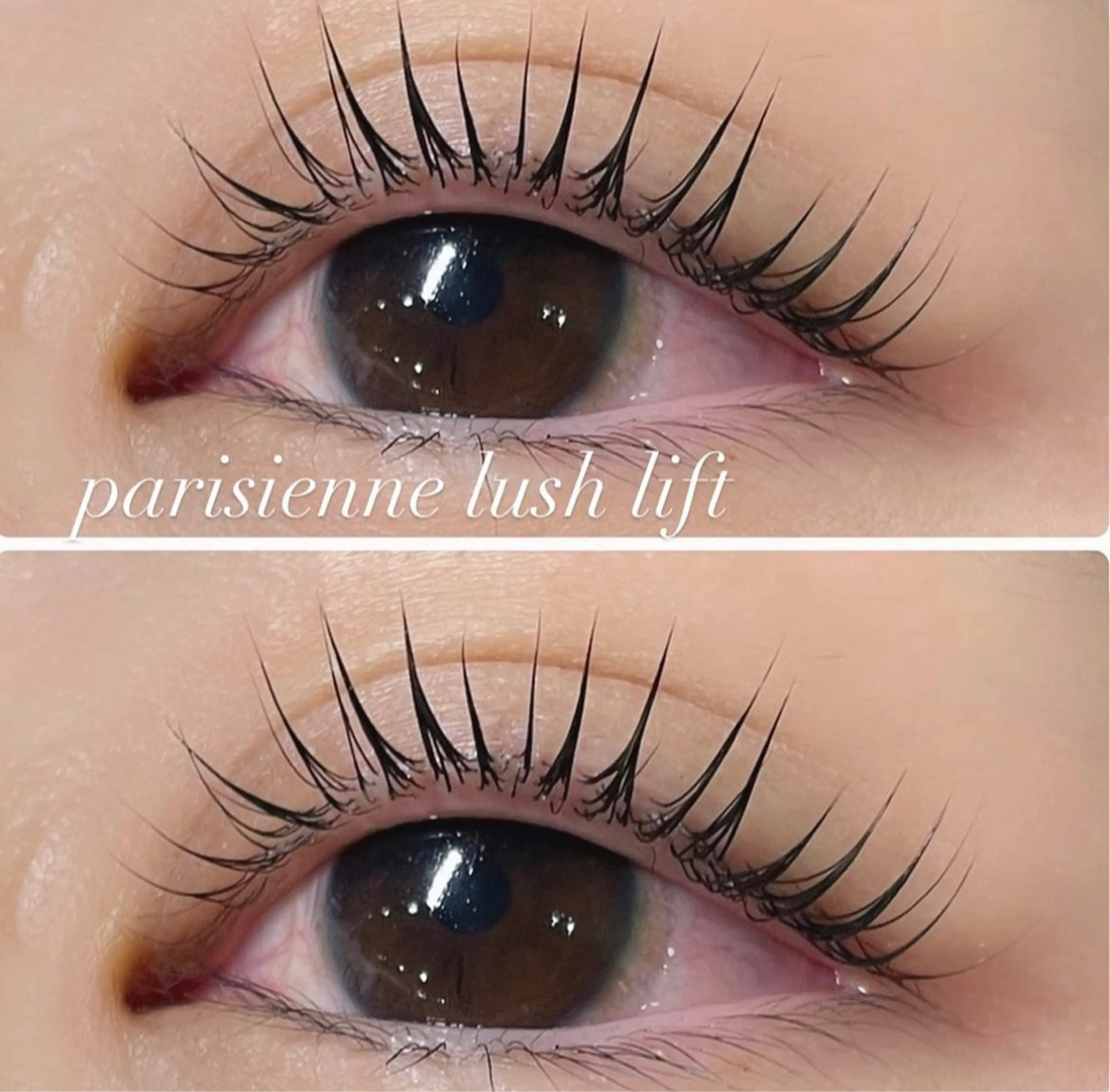 パリジェンヌラッシュリフト(クチコミ記入していただける方限定)の写真