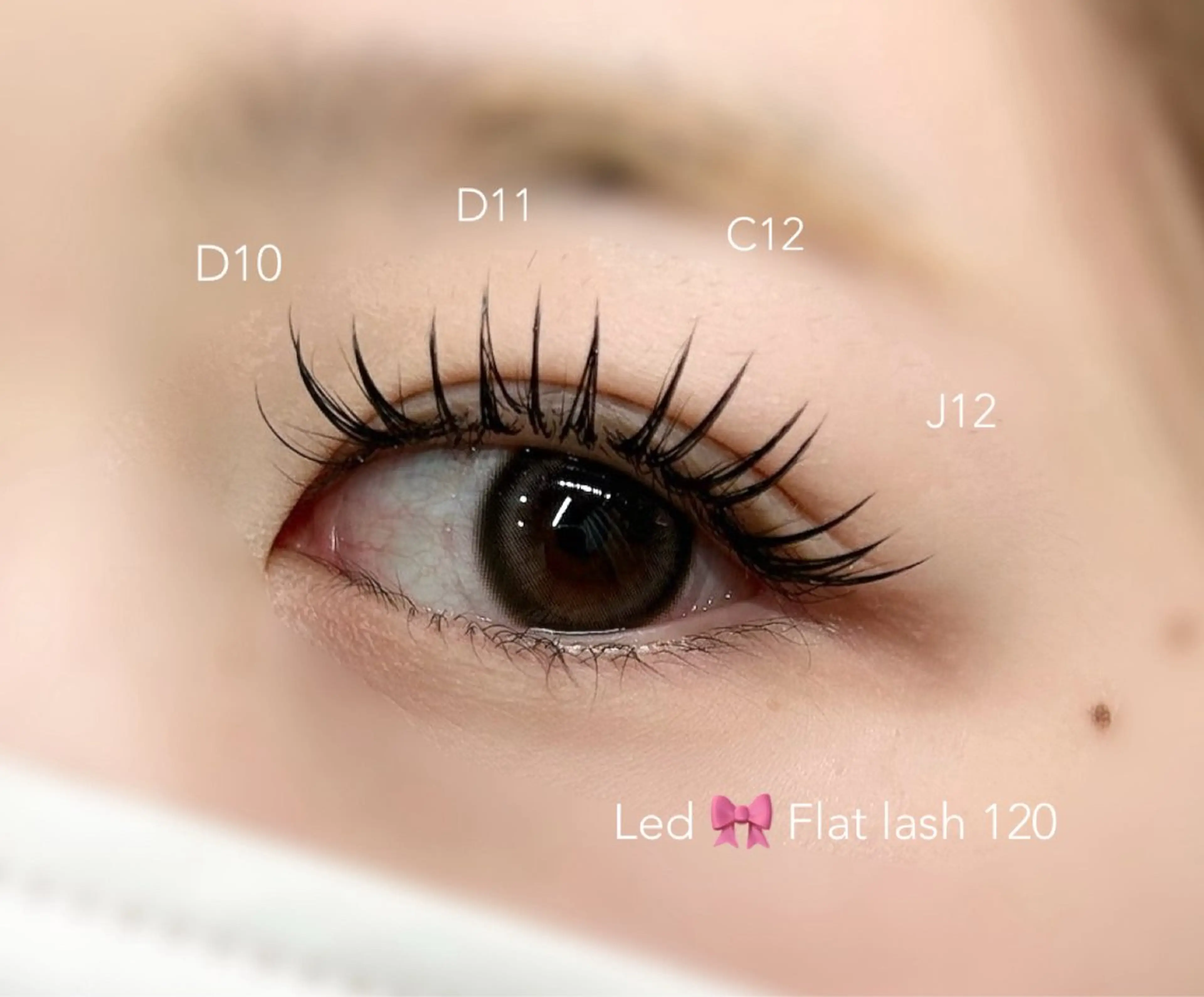 マツエク・マツパ フラットラッシュ マツエク ciela. eyelashのマツエク・マツパデザイン