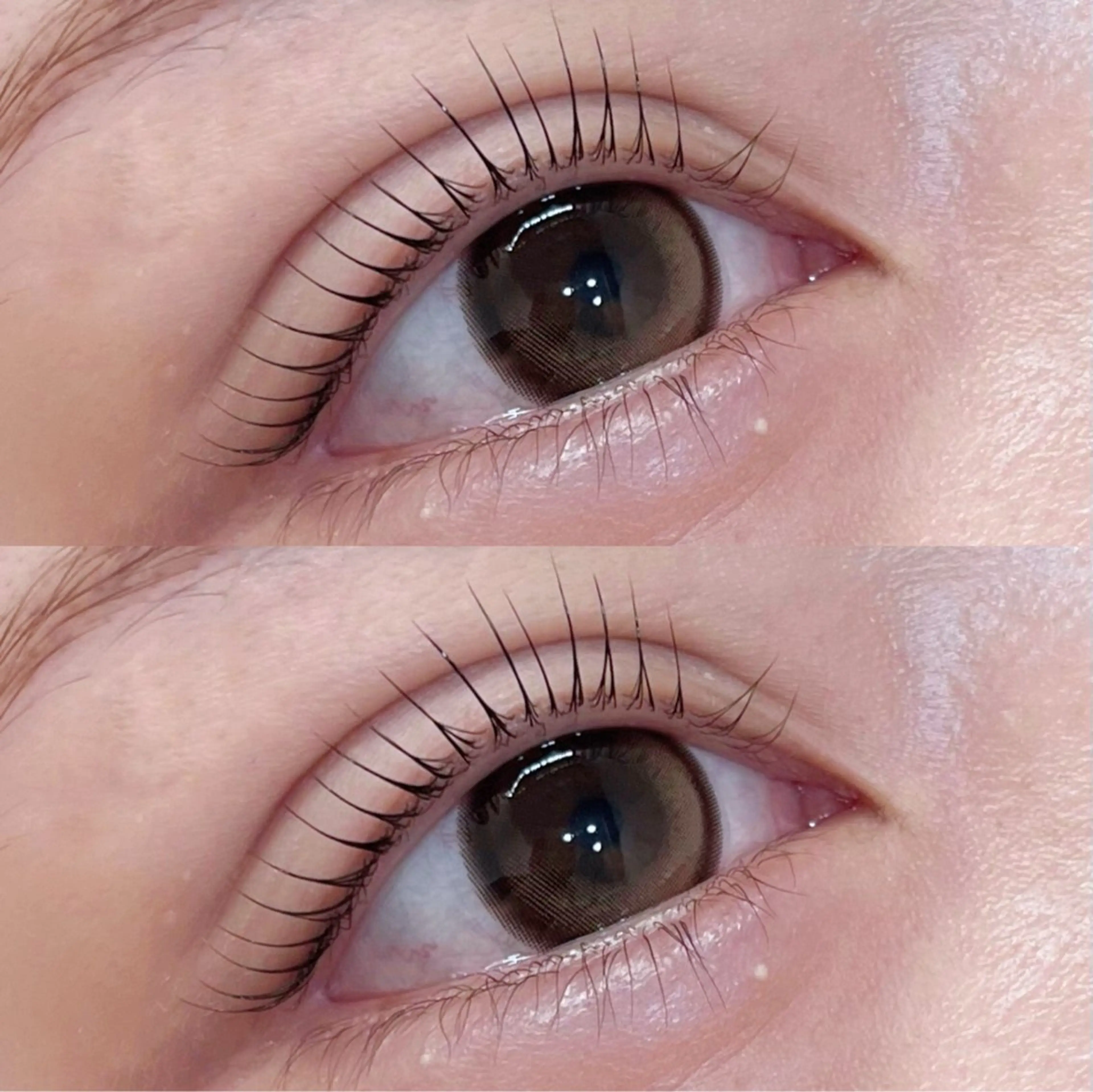 マツエク・マツパ マツパ coco / EYELAのマツエク・マツパデザイン