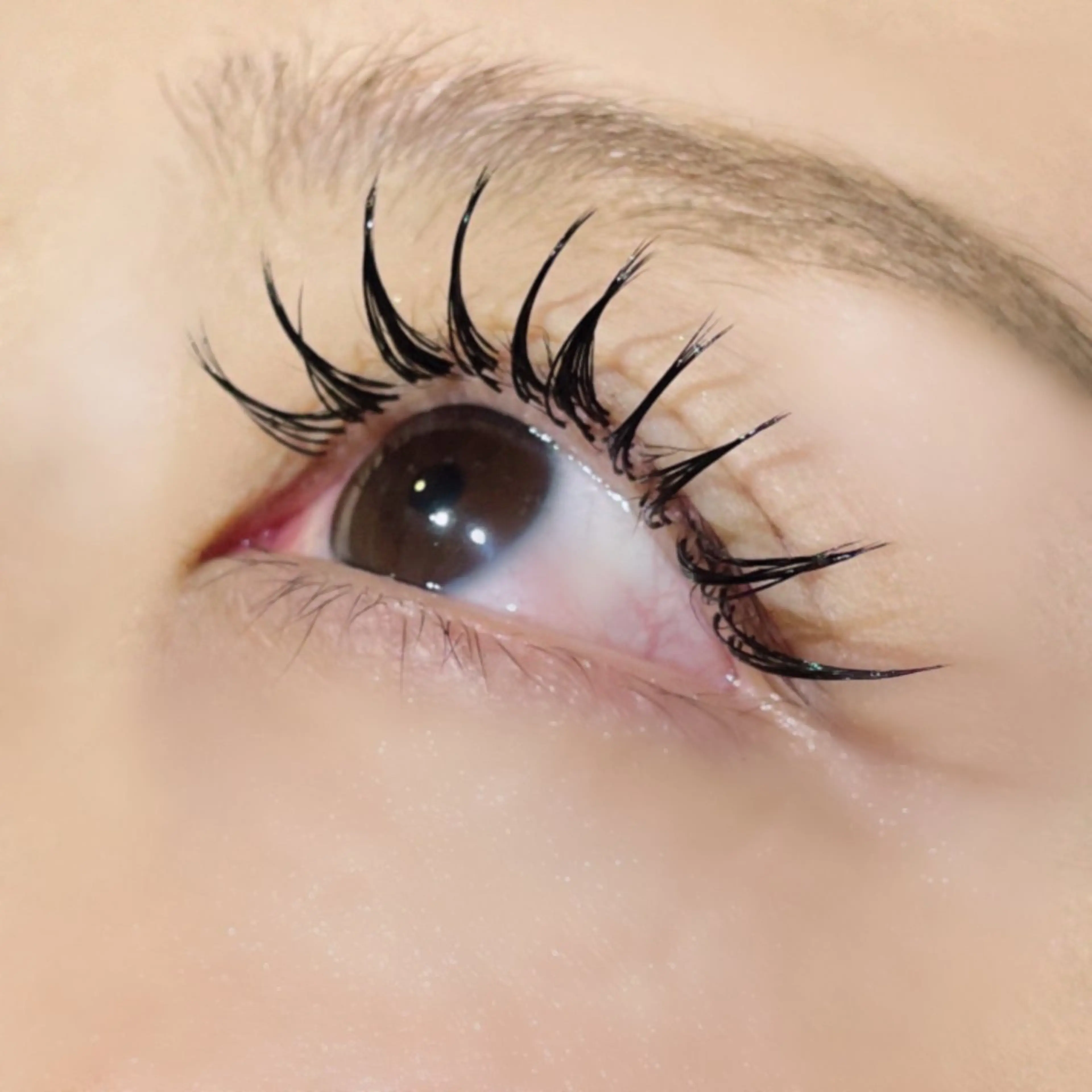 マツエク・マツパ 🌟杉枝 佑夏🌟のマツエク・マツパデザイン